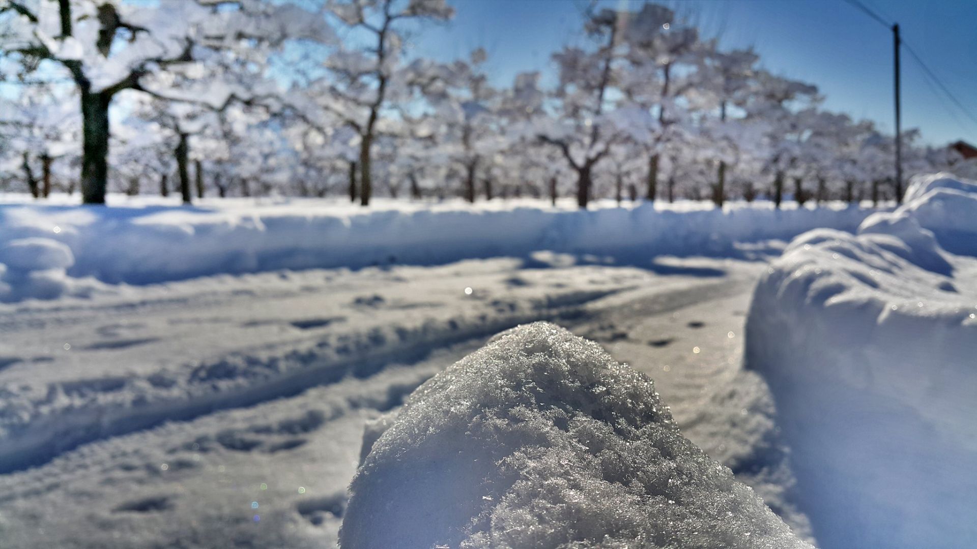 HDR
