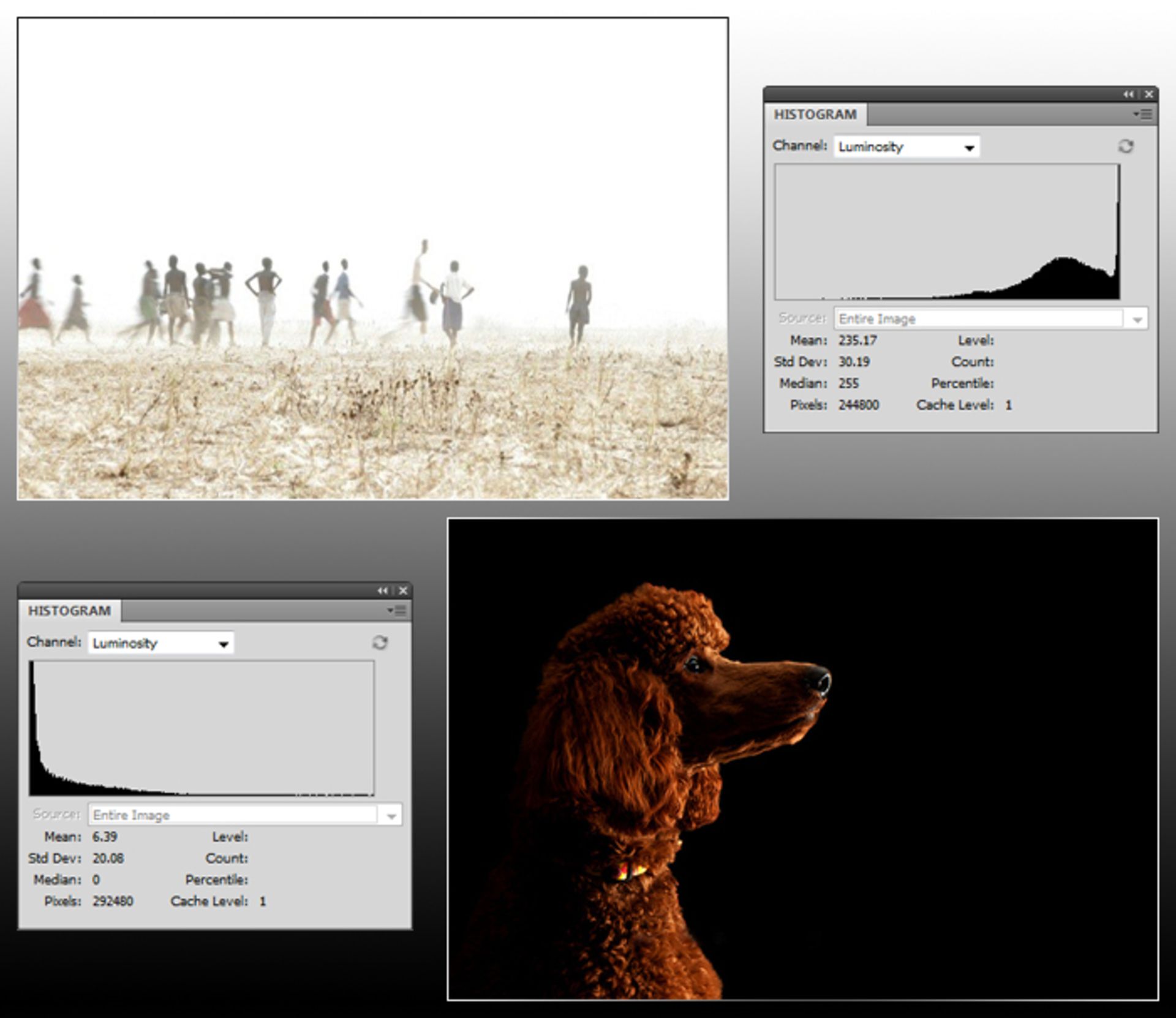 overexposed vs underexposed