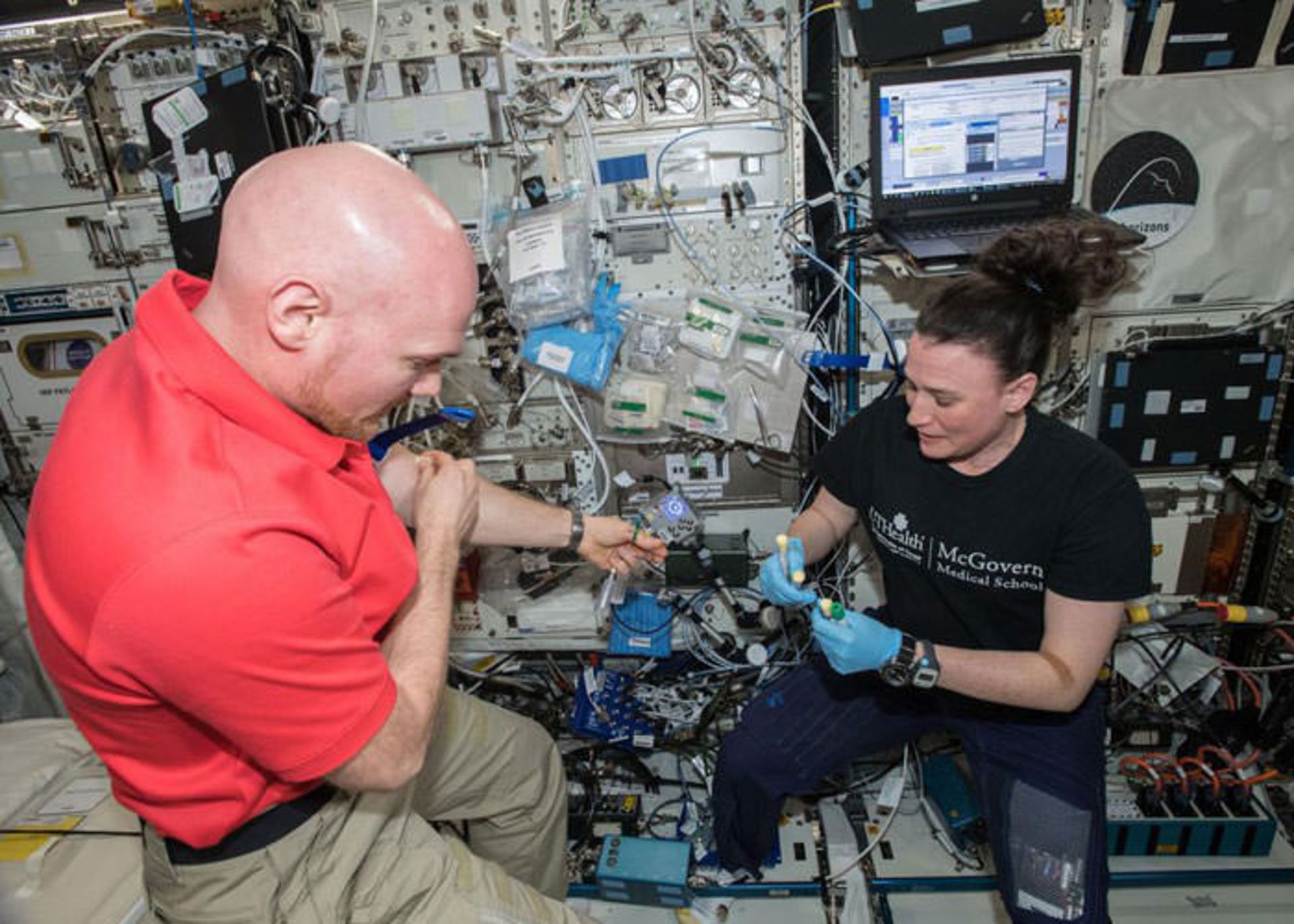 نمونه برداری