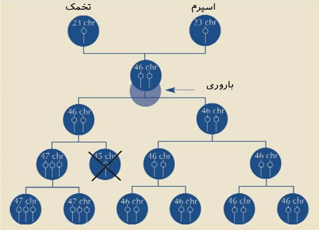 موزائیسم