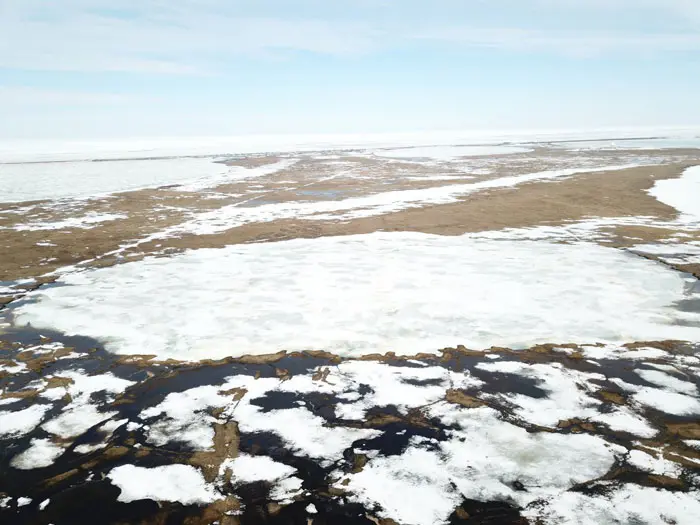 قطب شمال / arctic