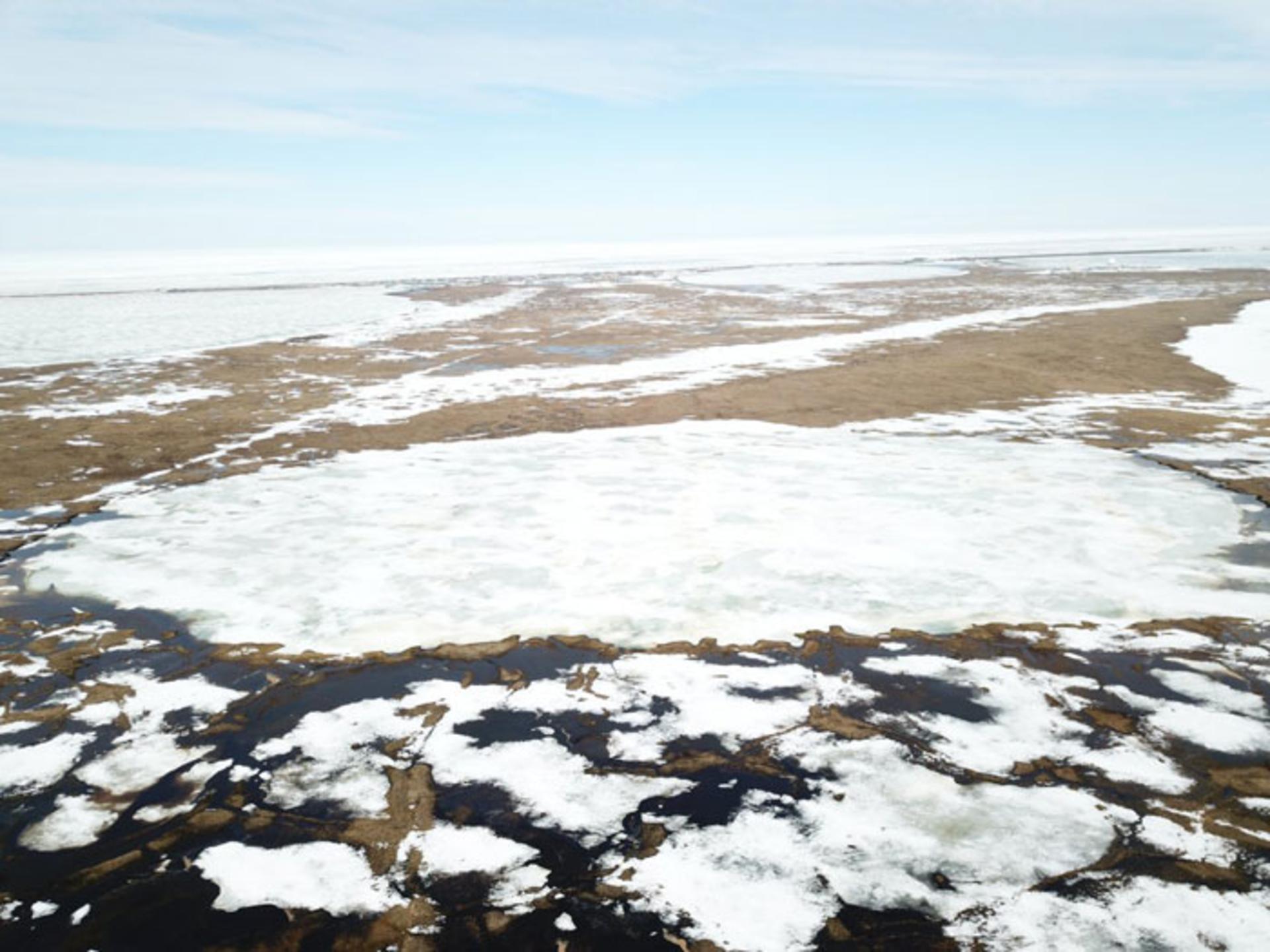 قطب شمال / arctic