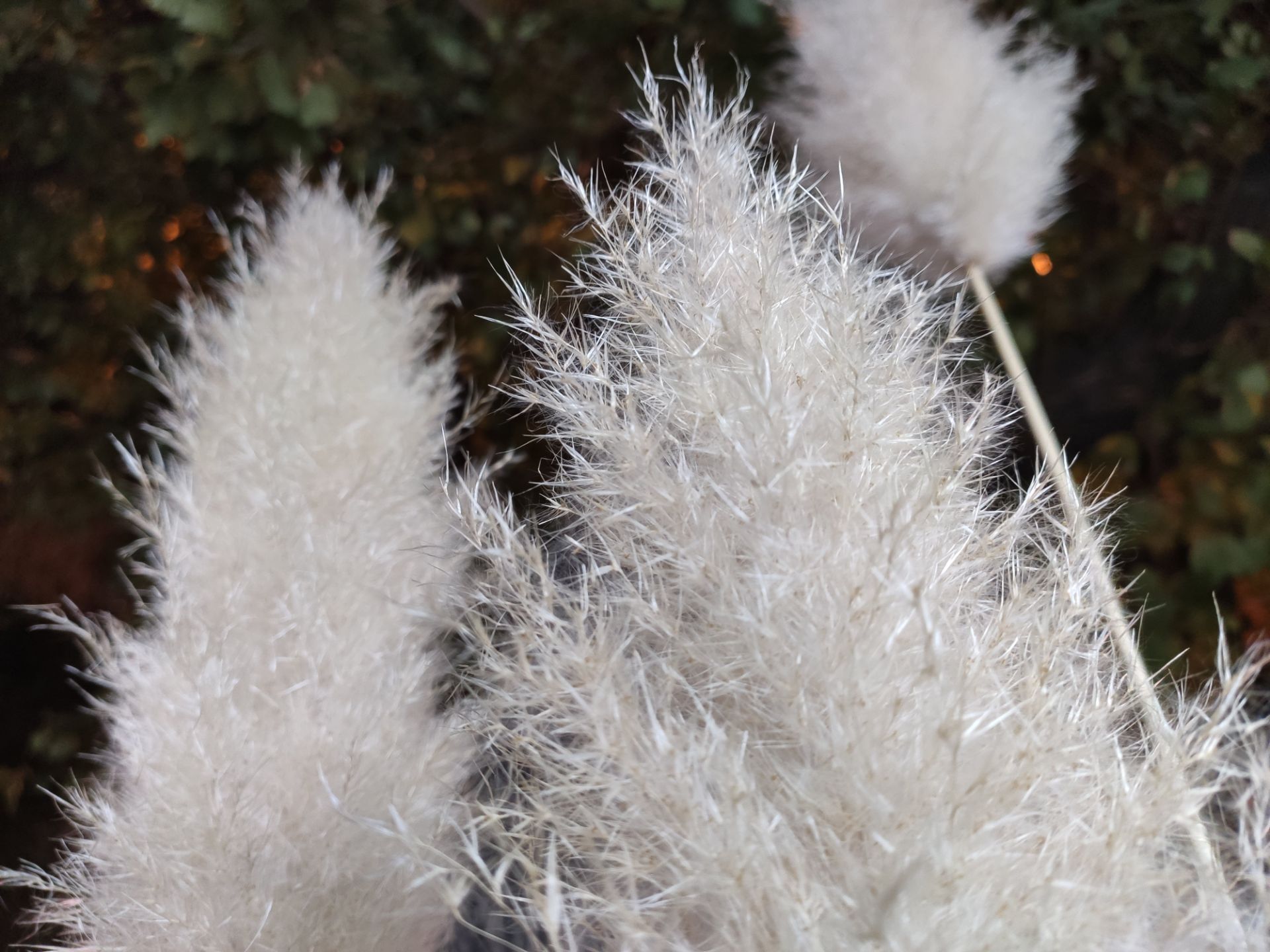 نمونه‌عکس‌های می 9 تی پرو