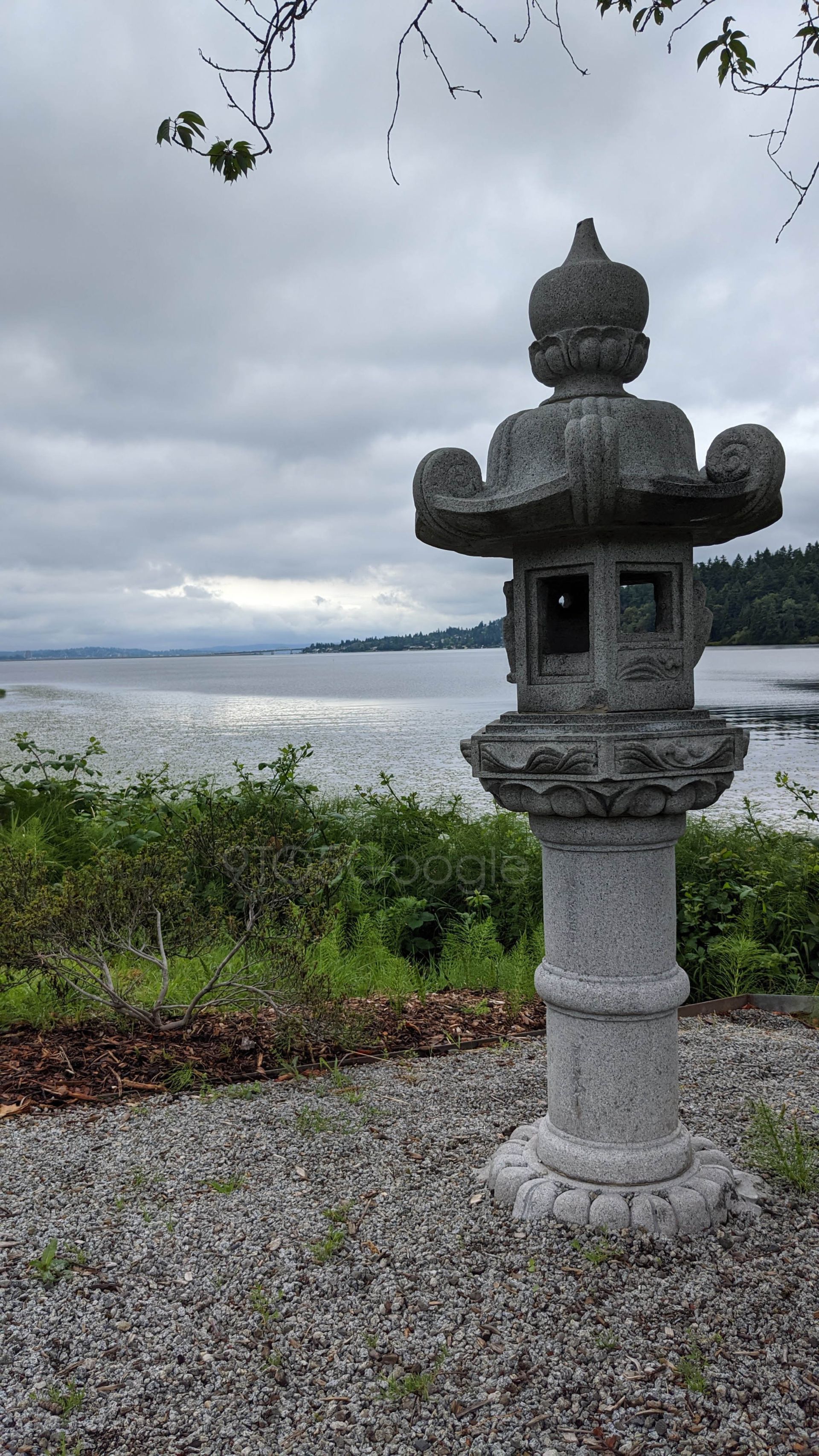 نمونه تصاویر پیکسل 4 گوگل / Google Pixel 4 Camera Samples