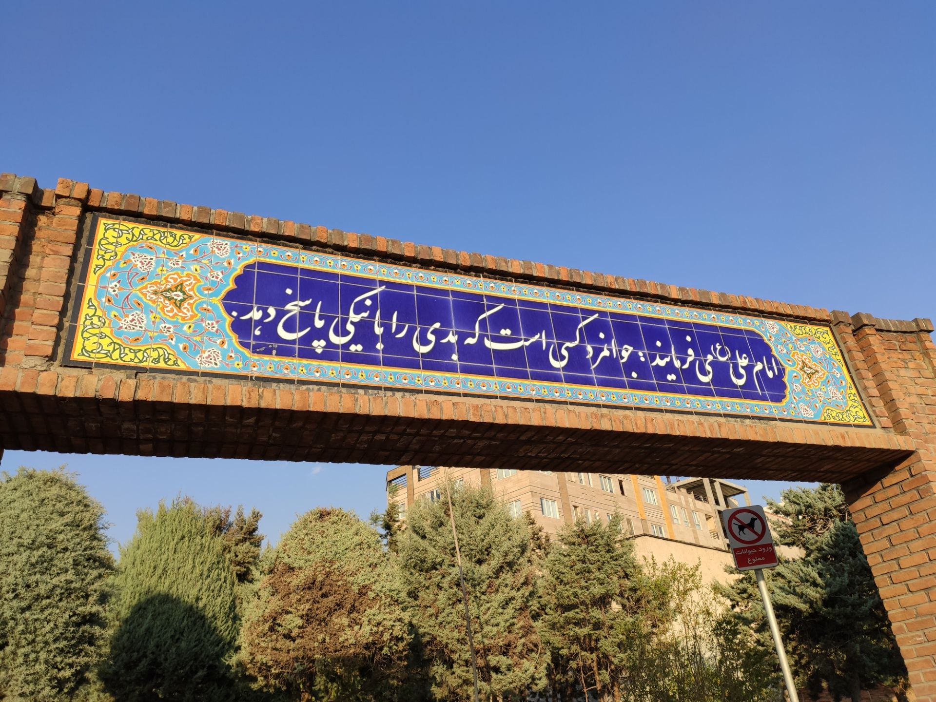 نمونه‌عکس می 9 تی پرو 