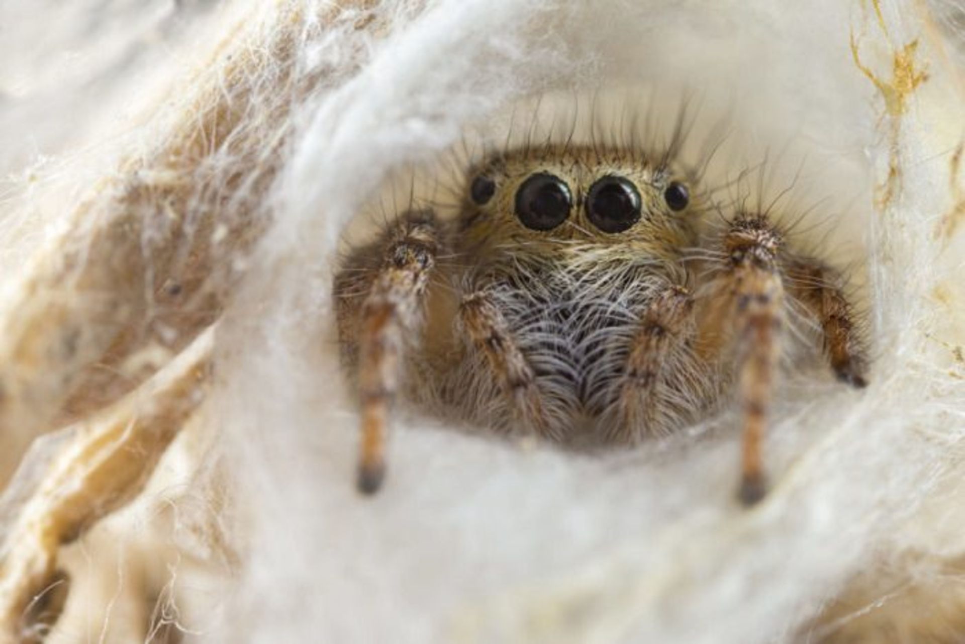 Matt doogue/nature photography/عکاسی طبیعت