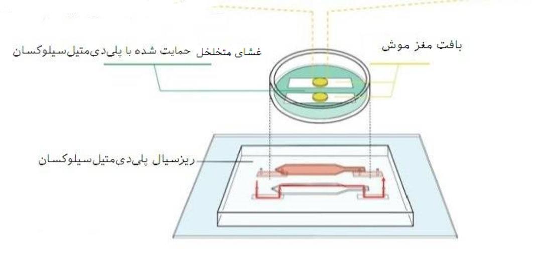 دستگاه پرفیوژن ریزسیال