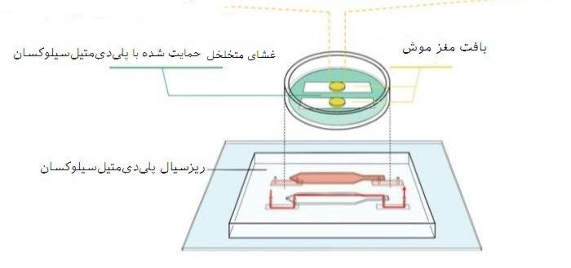 دستگاه پرفیوژن ریزسیال