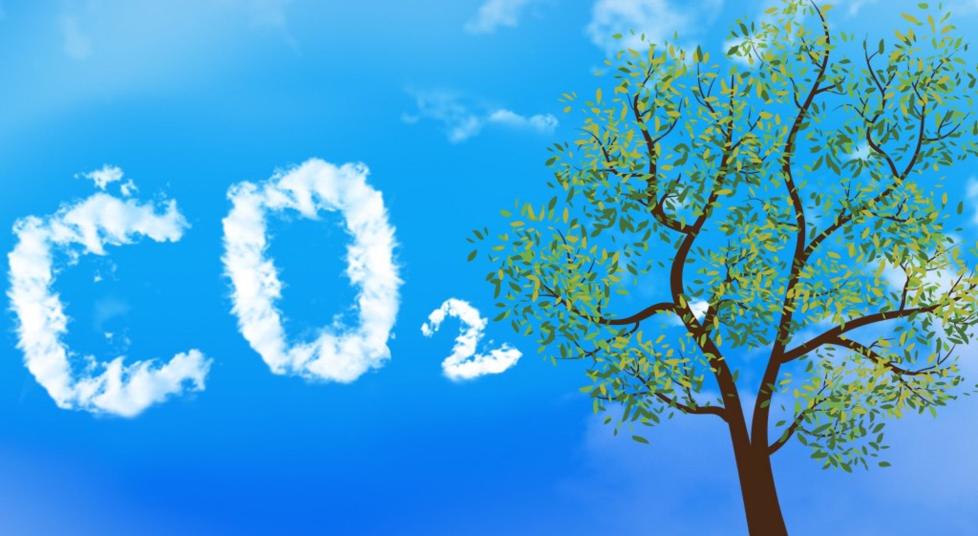 کربن دی اکسید گیاه