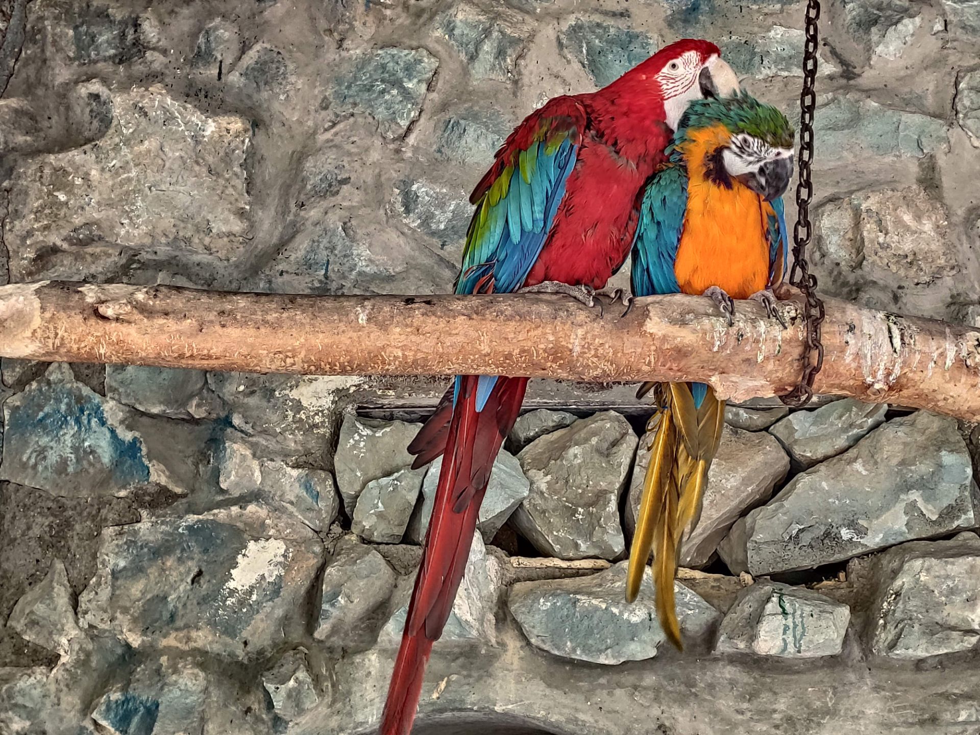 نمونه‌عکس می 9 تی پرو 