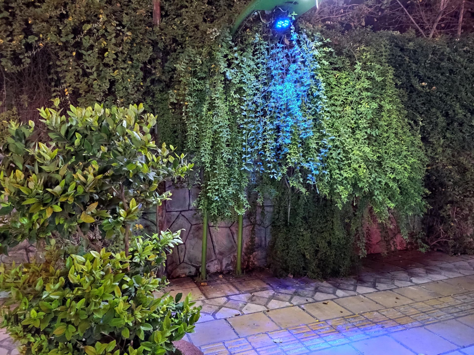 نمونه‌عکس‌های می 9 تی پرو