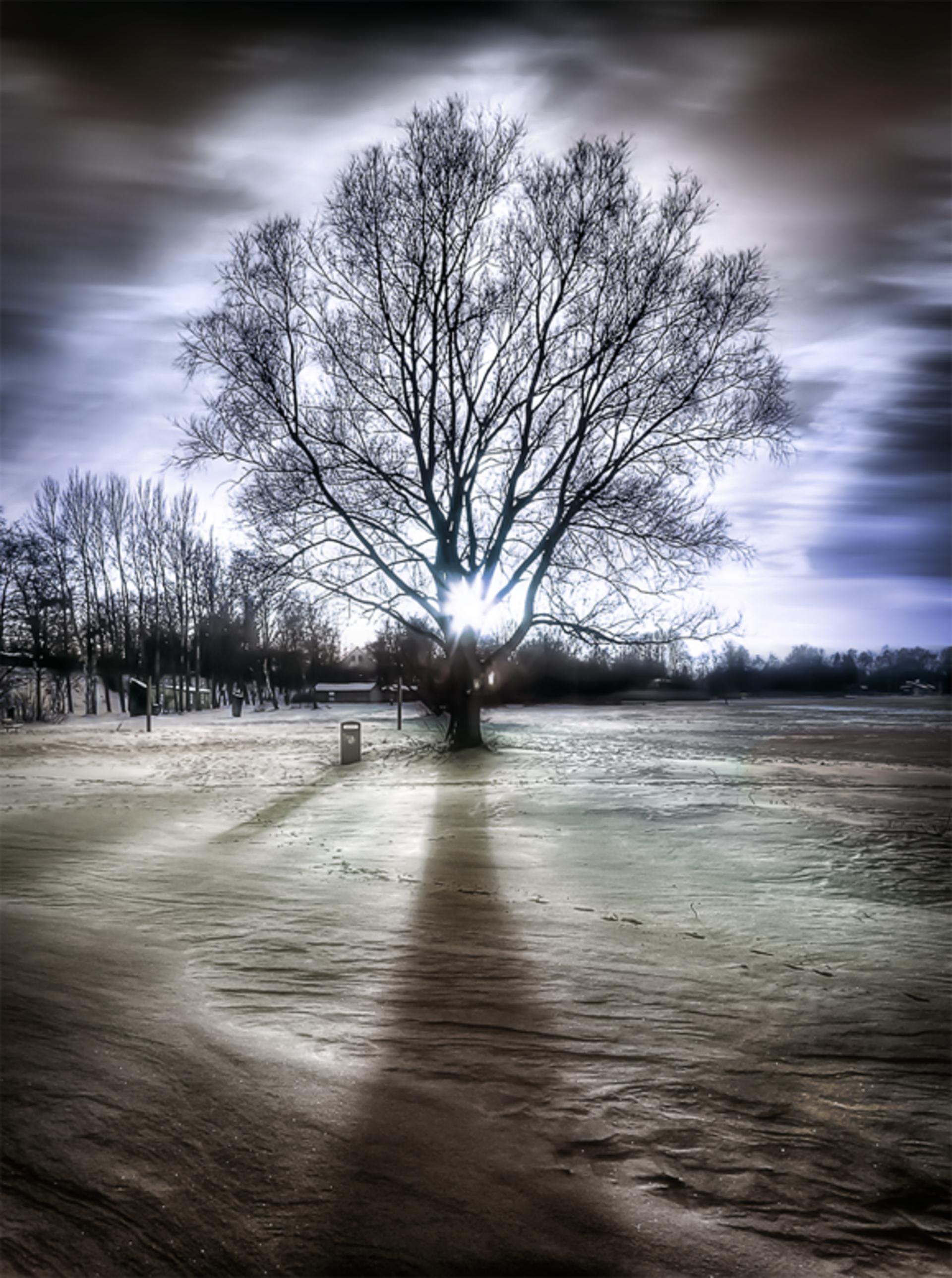 Surreal HDR