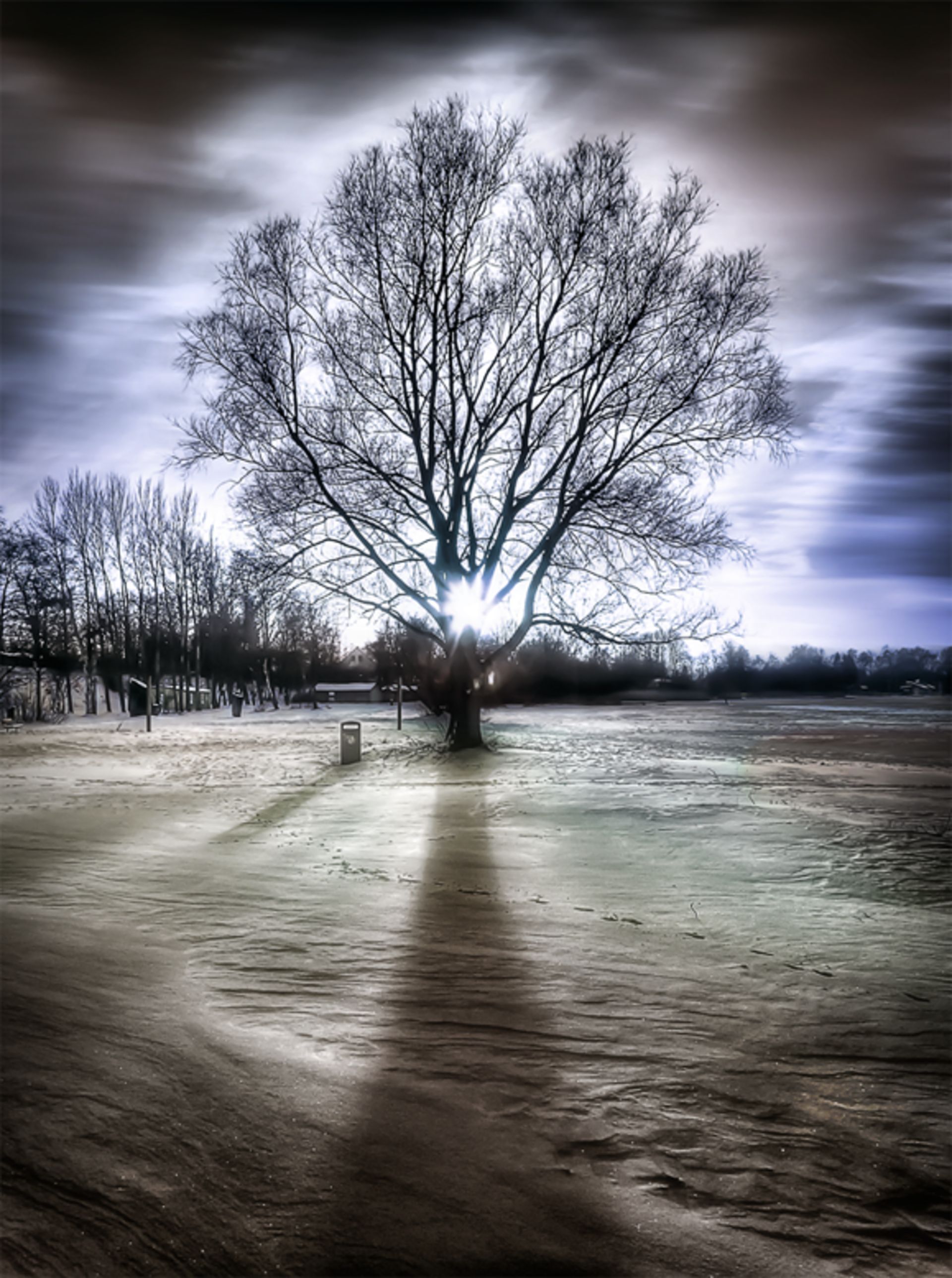 Surreal HDR