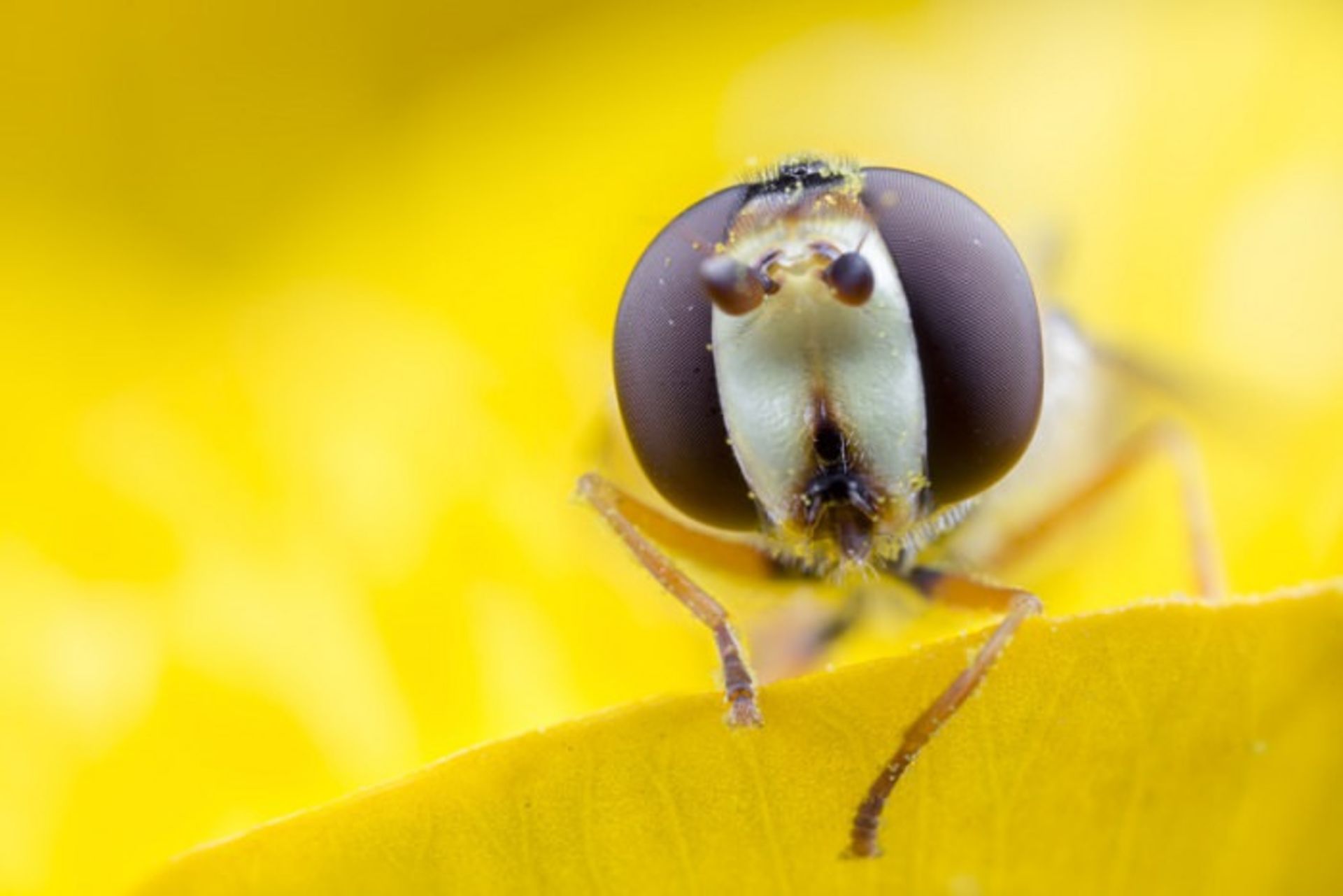 Matt doogue/nature photography/عکاسی طبیعت