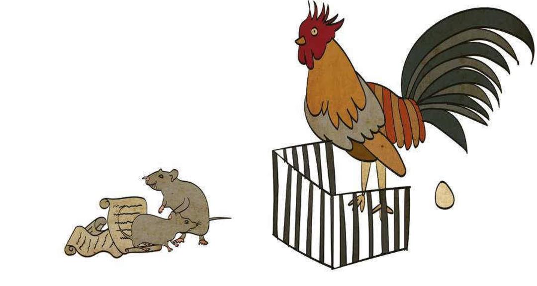 ۱. دادگاه حیوانات