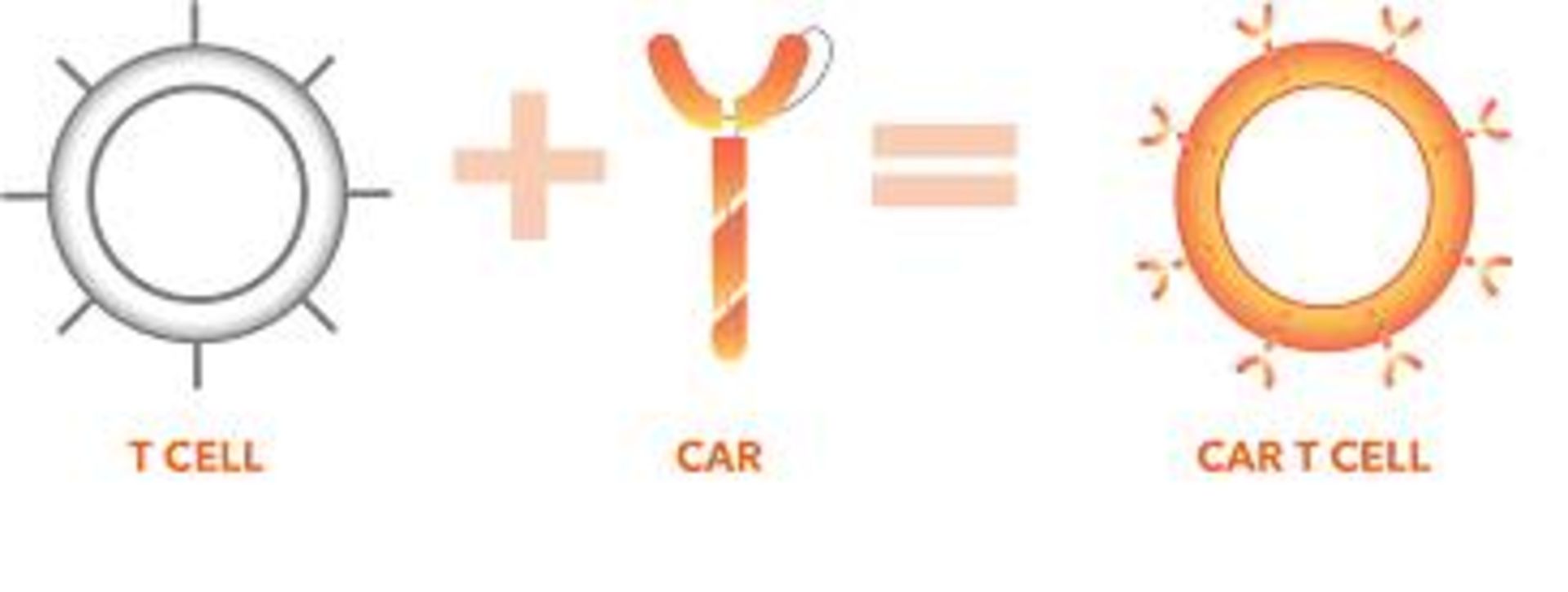 ایمنی درمانی