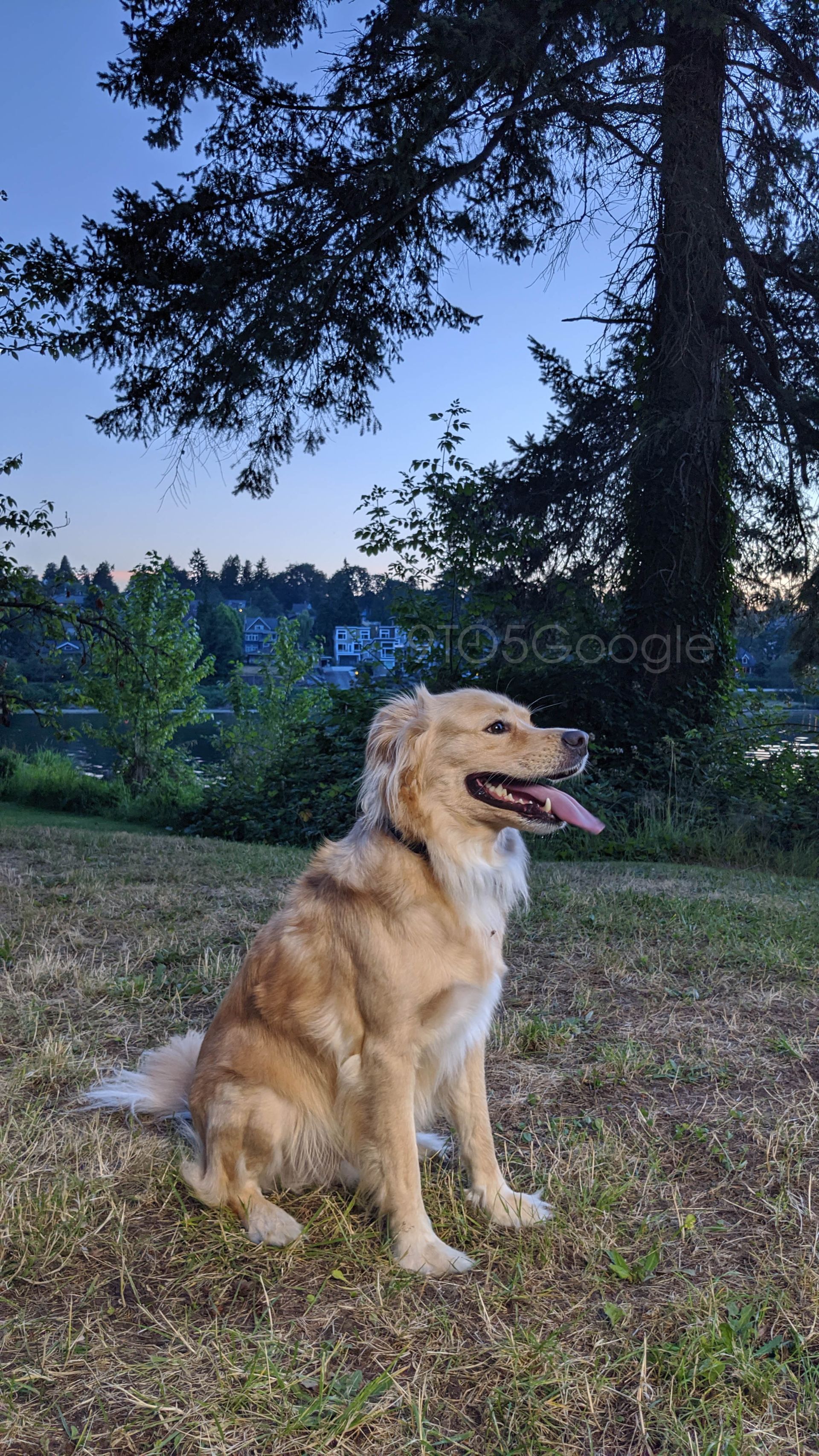 نمونه تصاویر پیکسل 4 گوگل / Google Pixel 4 Camera Samples