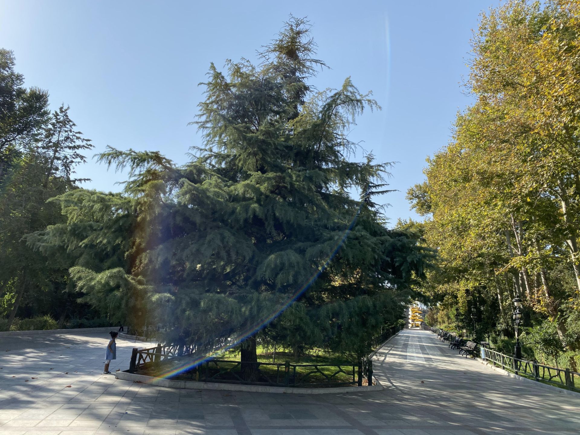 iPhone 11 Pro Camera Samples Day