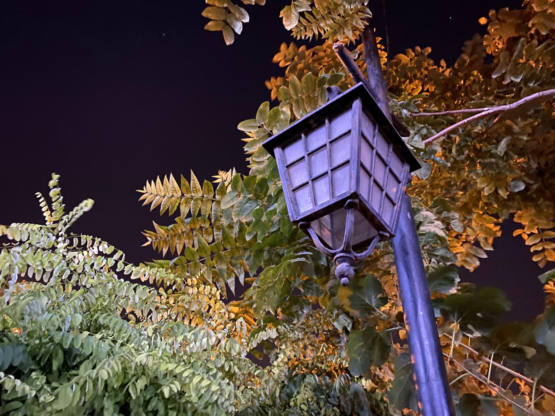 iPhone 11 Pro Camera Samples Night