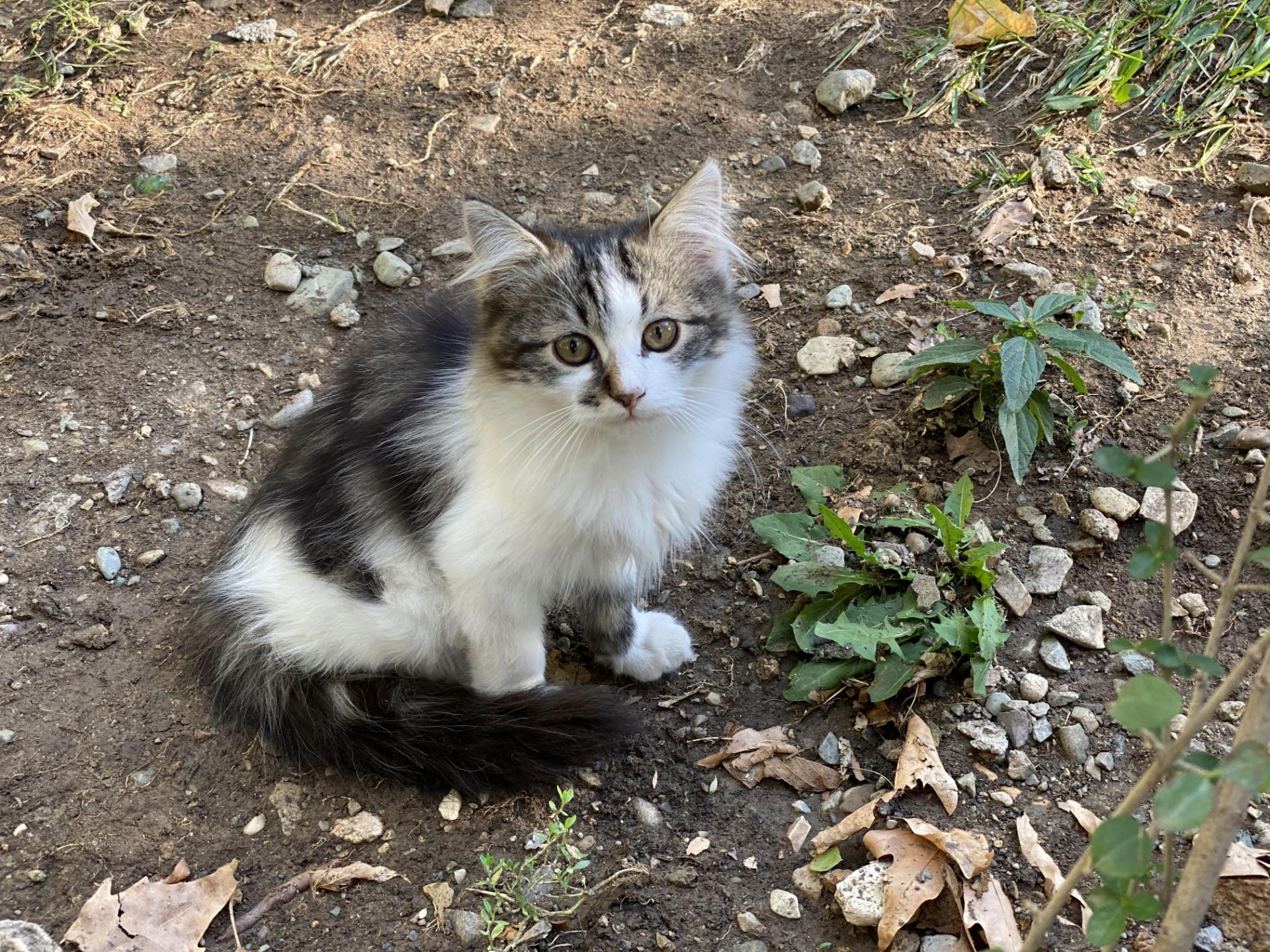 iPhone 11 Pro Camera Samples Day