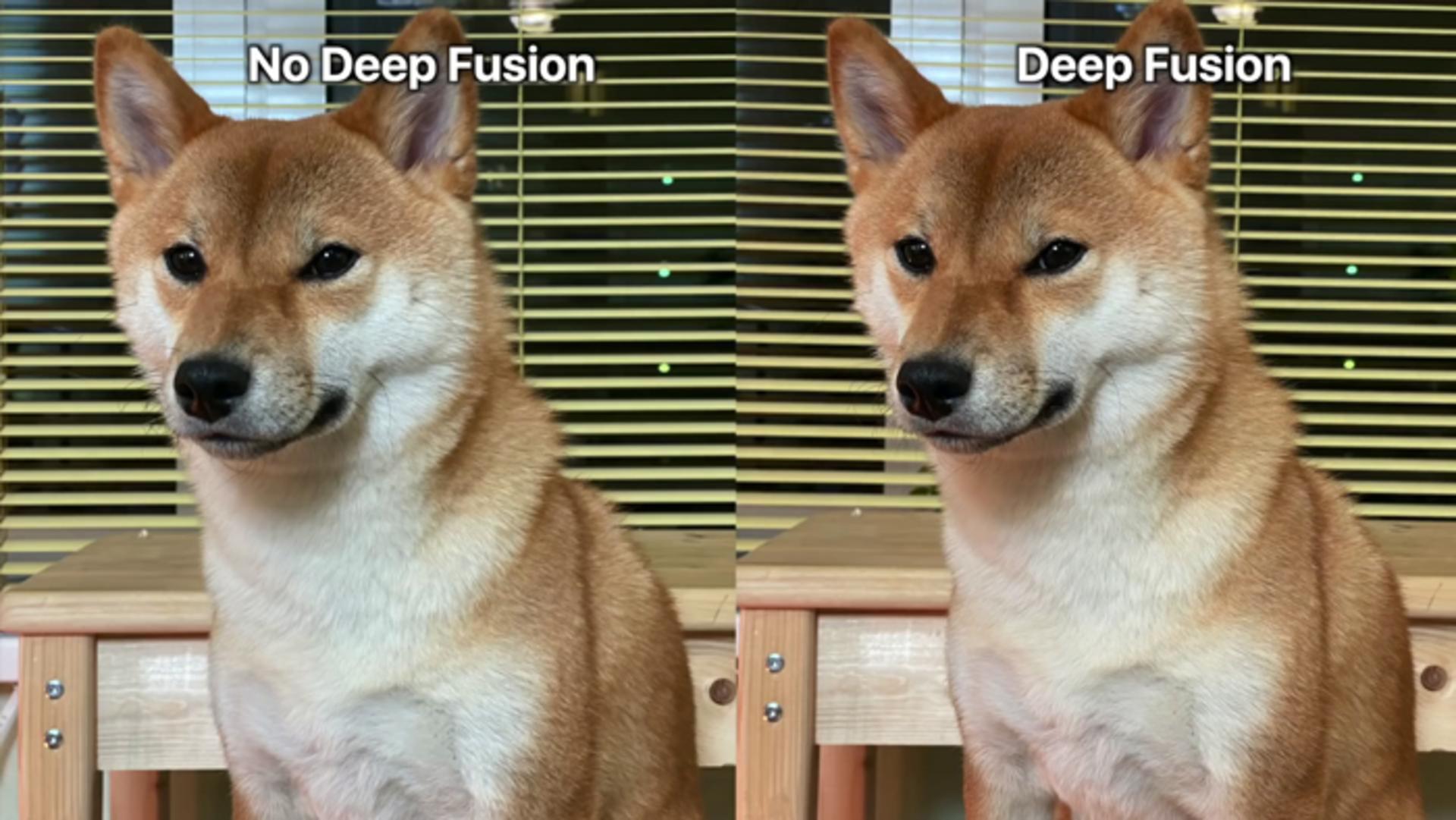 Deep Fusion