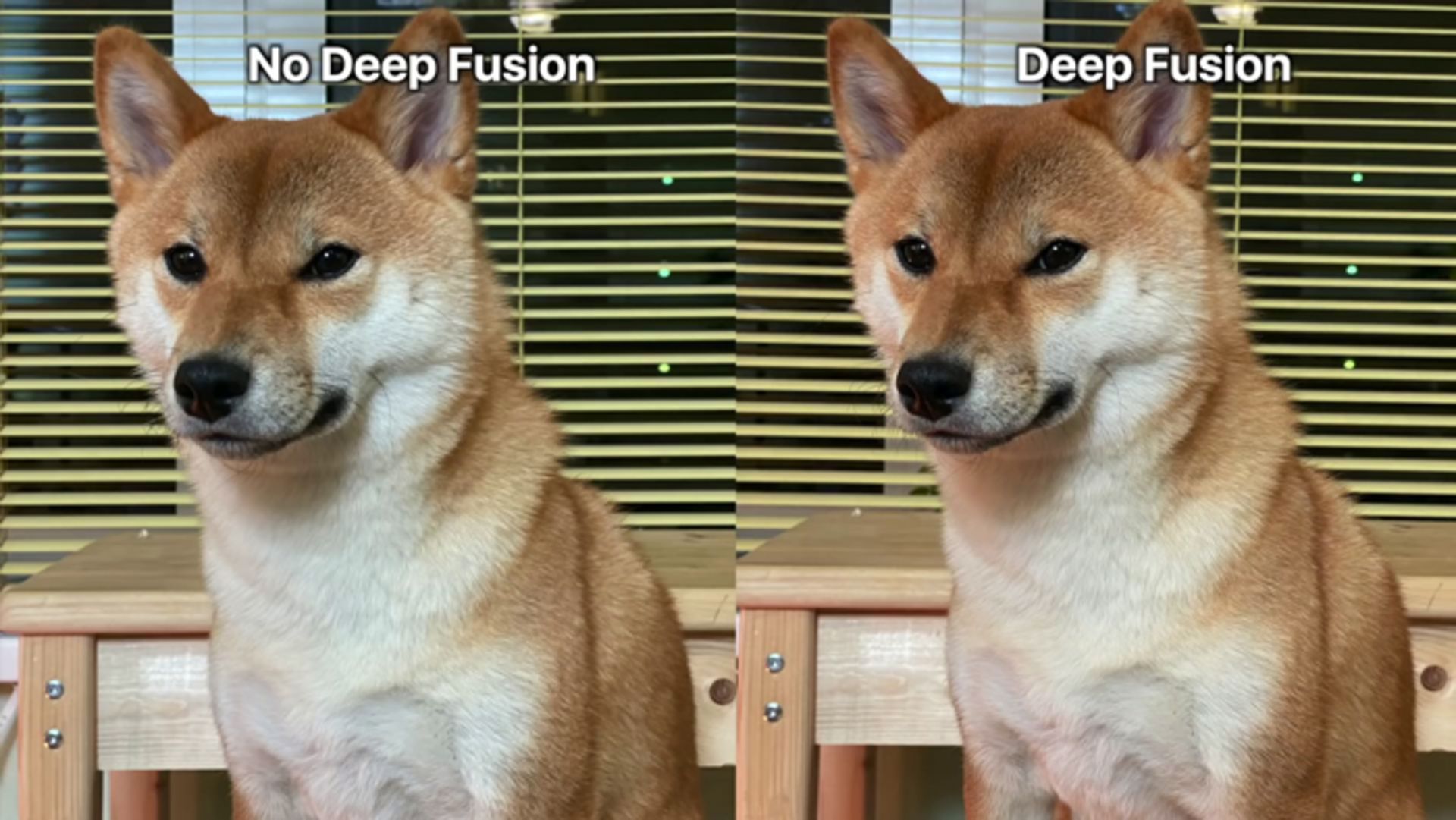 Deep Fusion