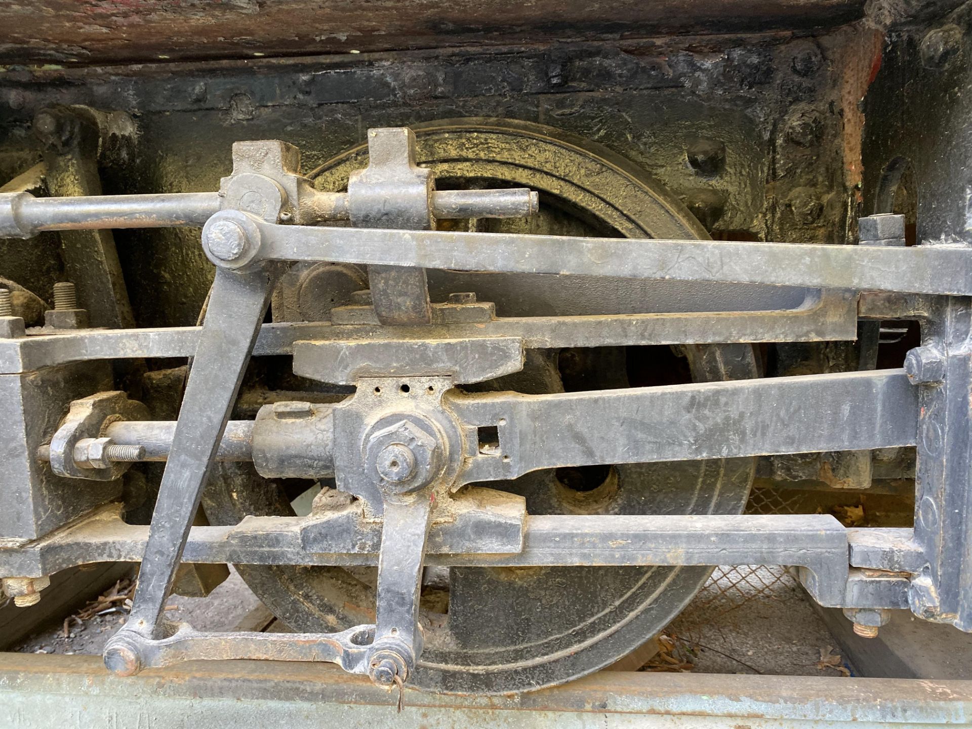 iPhone 11 Pro Camera Samples Day