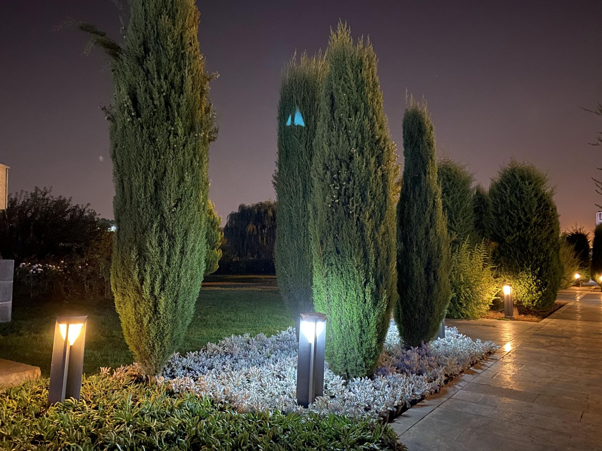 iPhone 11 Pro Camera Samples Night