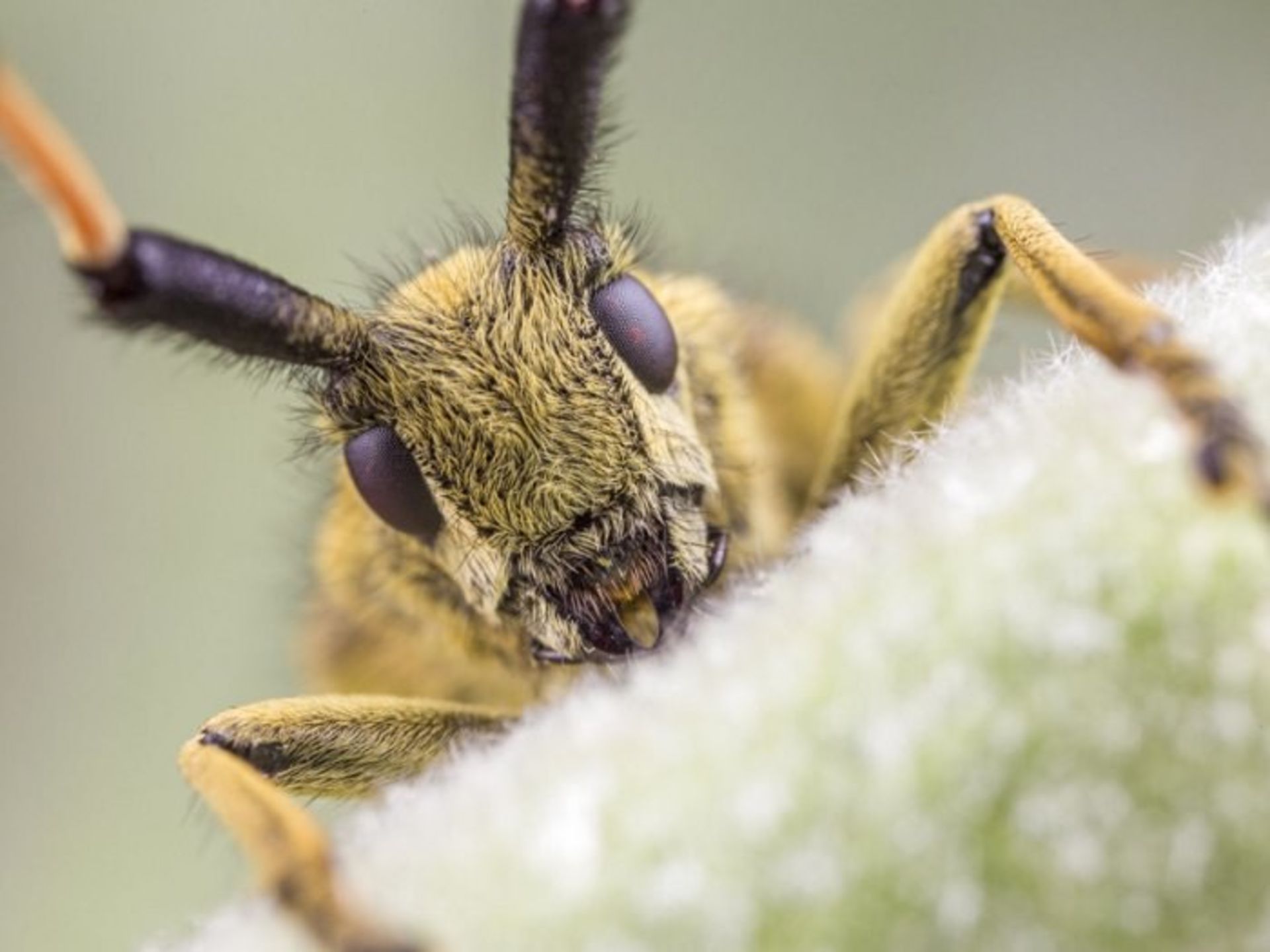 Matt doogue/nature photography/عکاسی طبیعت