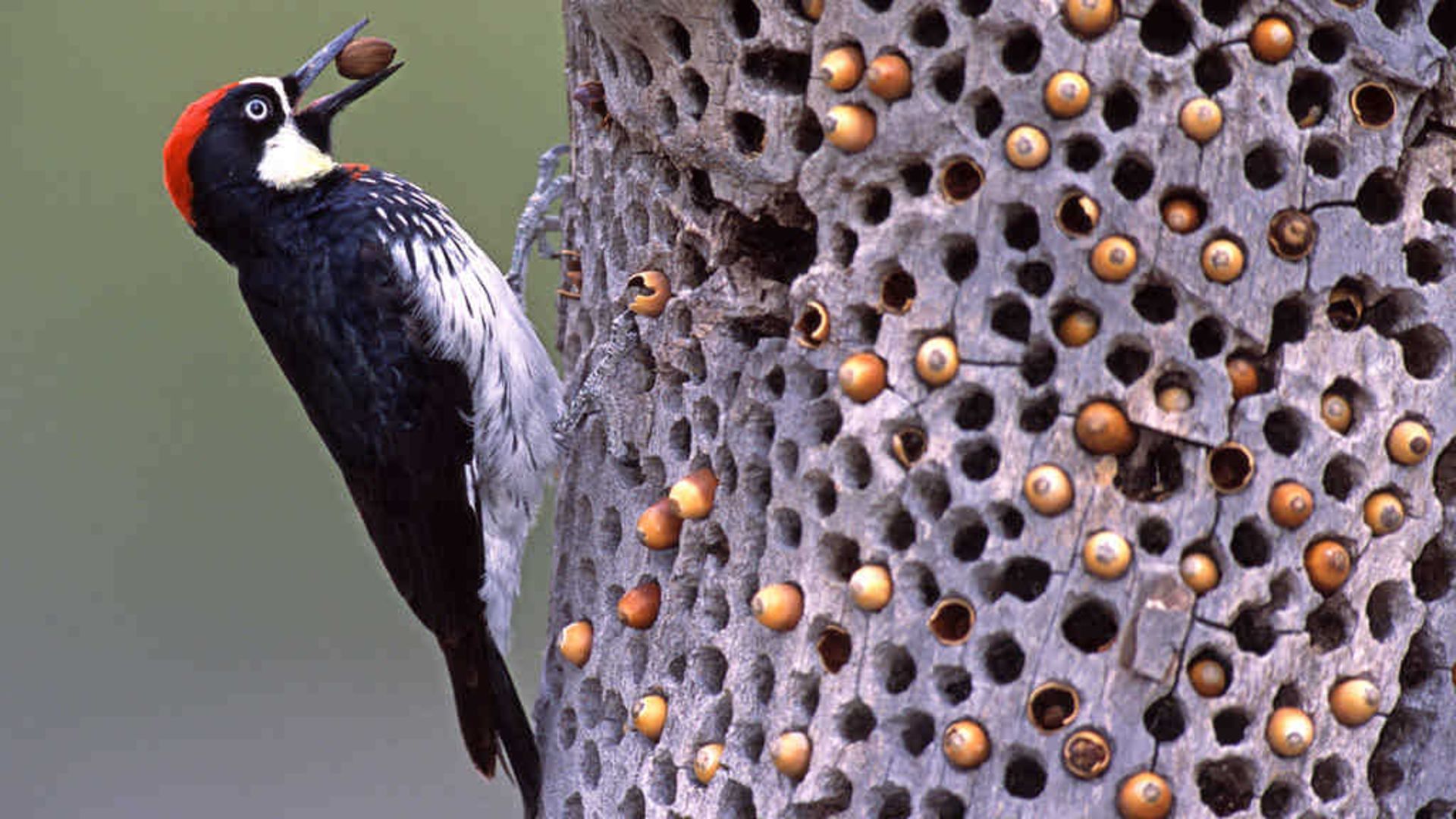 عکسی که کاربران اینترنت را ترساند!