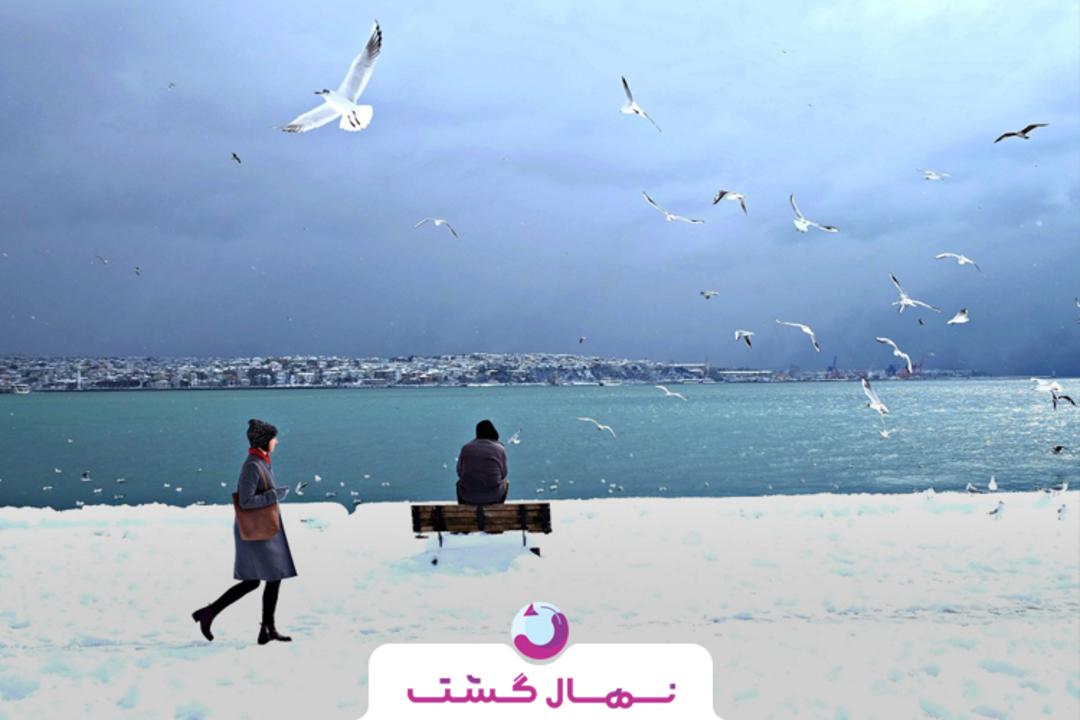 نهال گشت