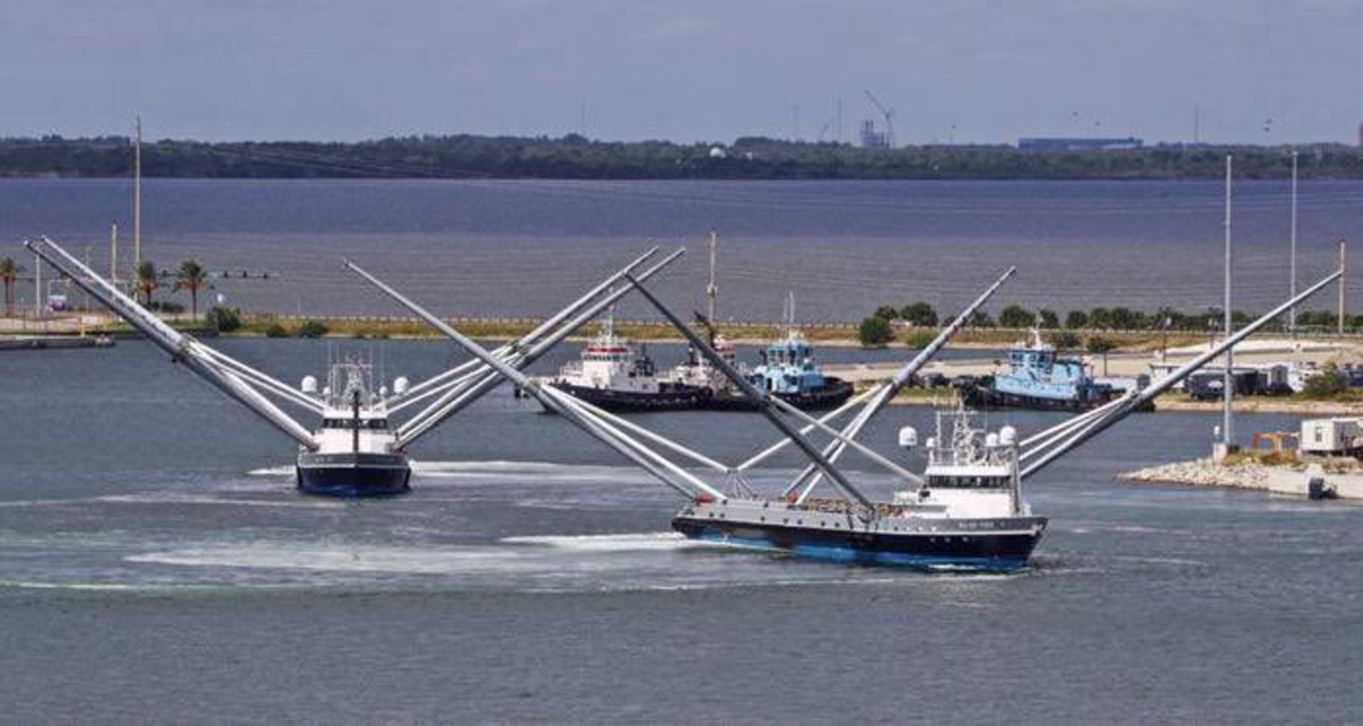 میز تری و میز چیف