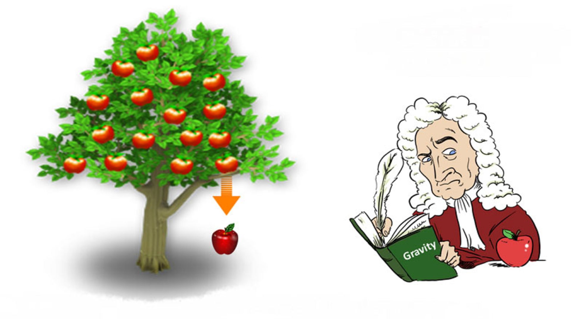 نیروی گرانش / gravitational force