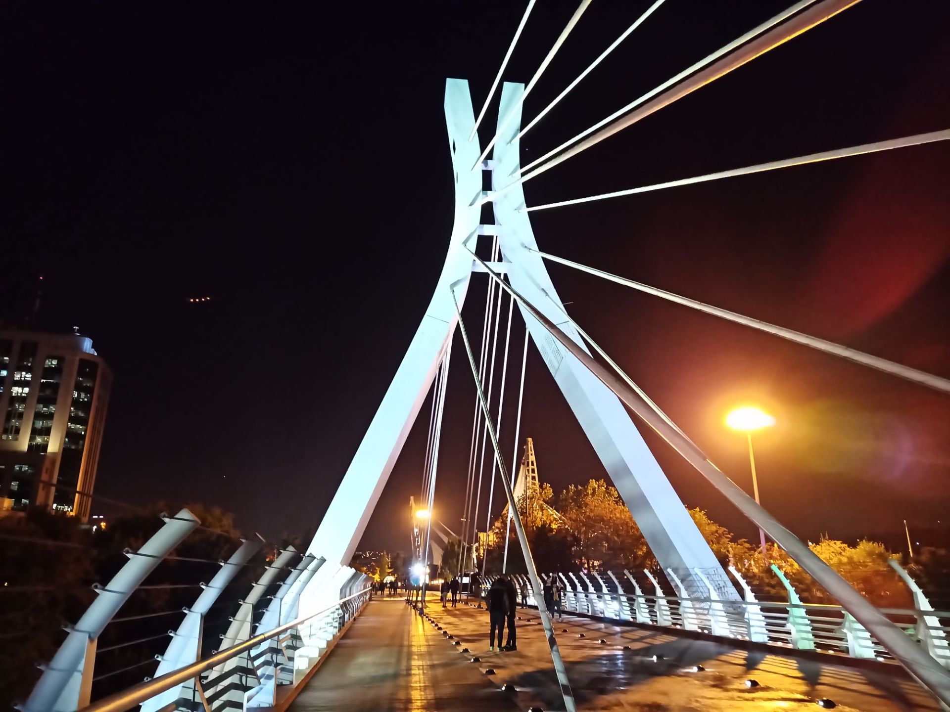 نمونه‌عکس شاهین ۲