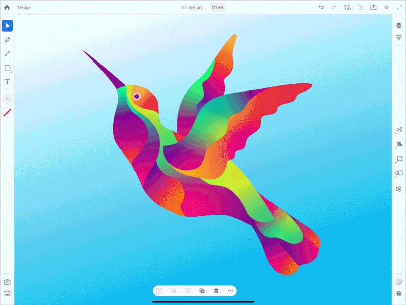 Adobe Illustrator on iPad