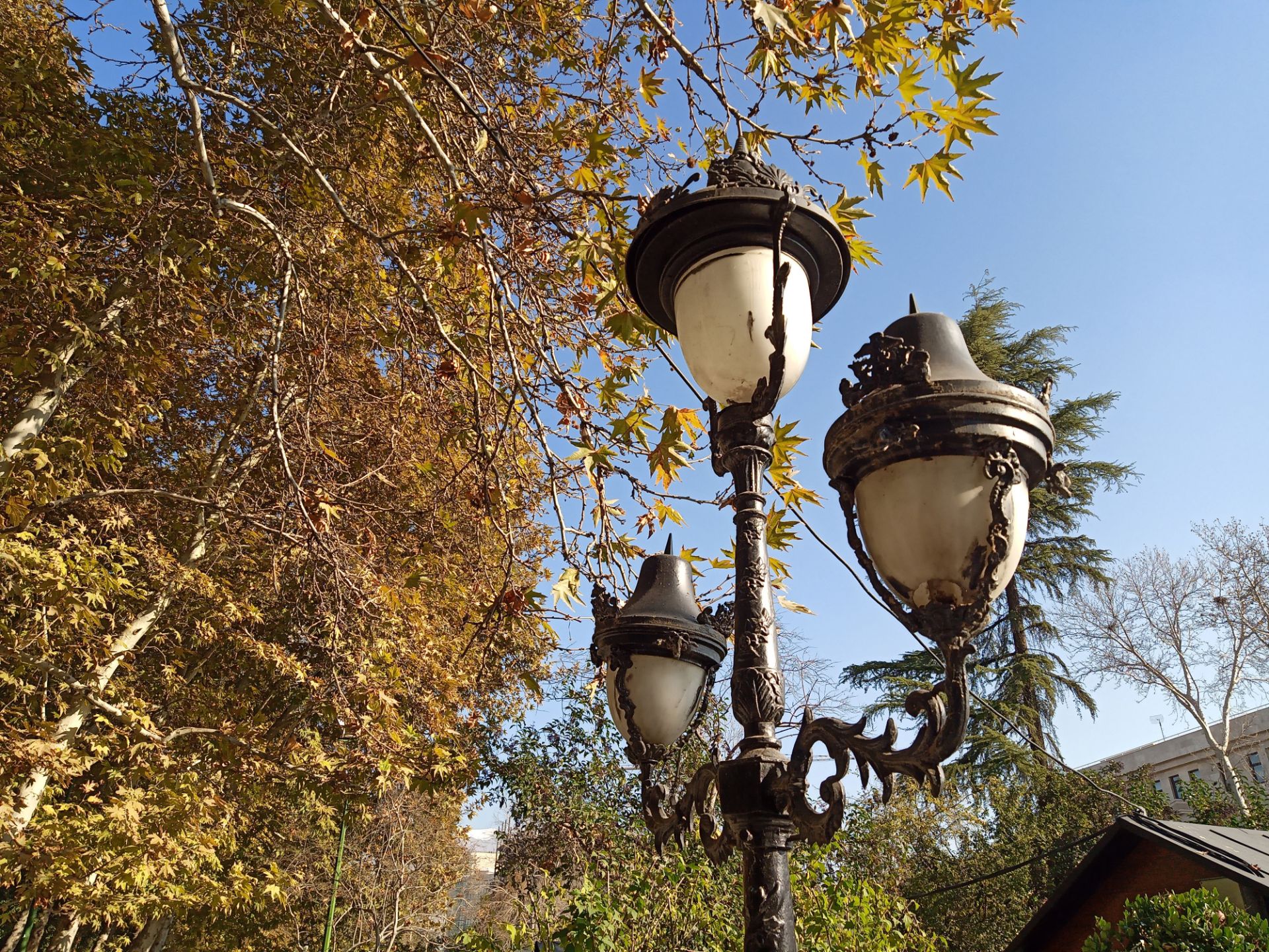 نمونه‌عکس شاهین ۲