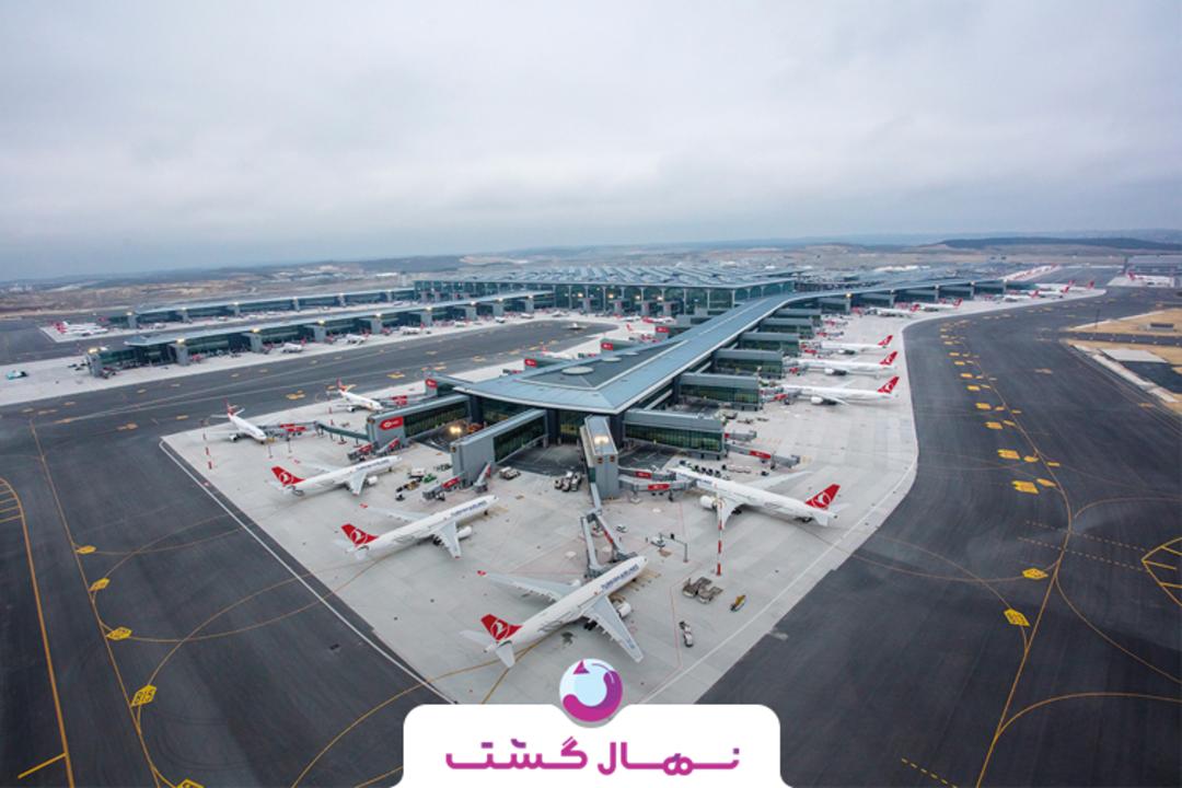 نهال گشت