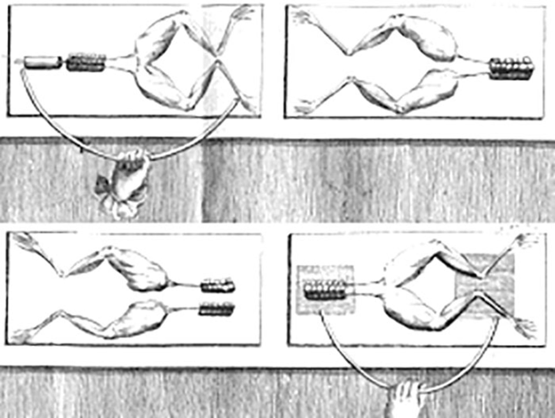 الساندرو ولتا / Alessandro Volta