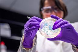 مهندسی باکتری ای‌کولای برای مصرف کربن‌دی‌اکسید