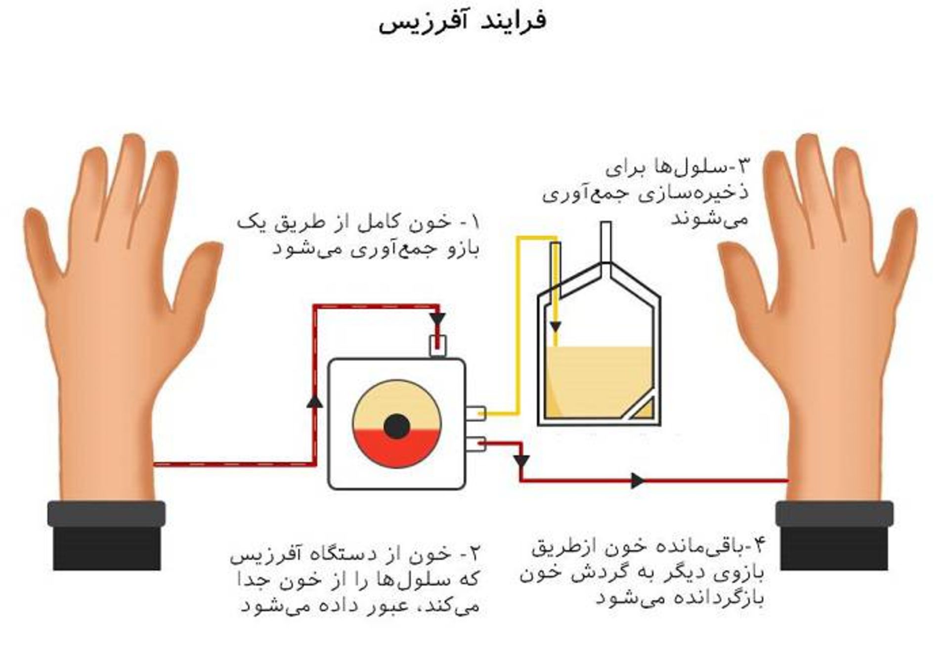 آفرزیس