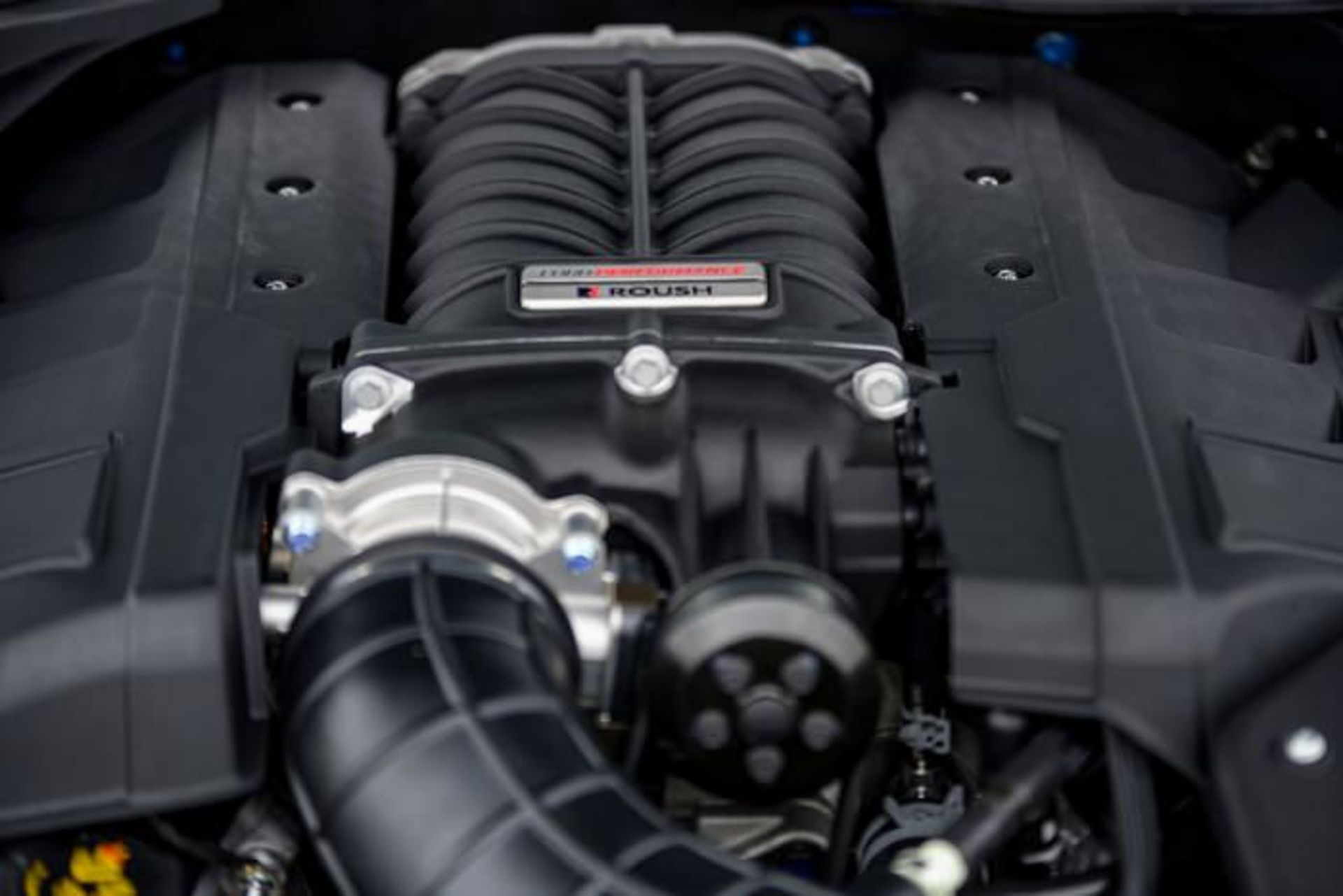 فورد موستانگ Rush