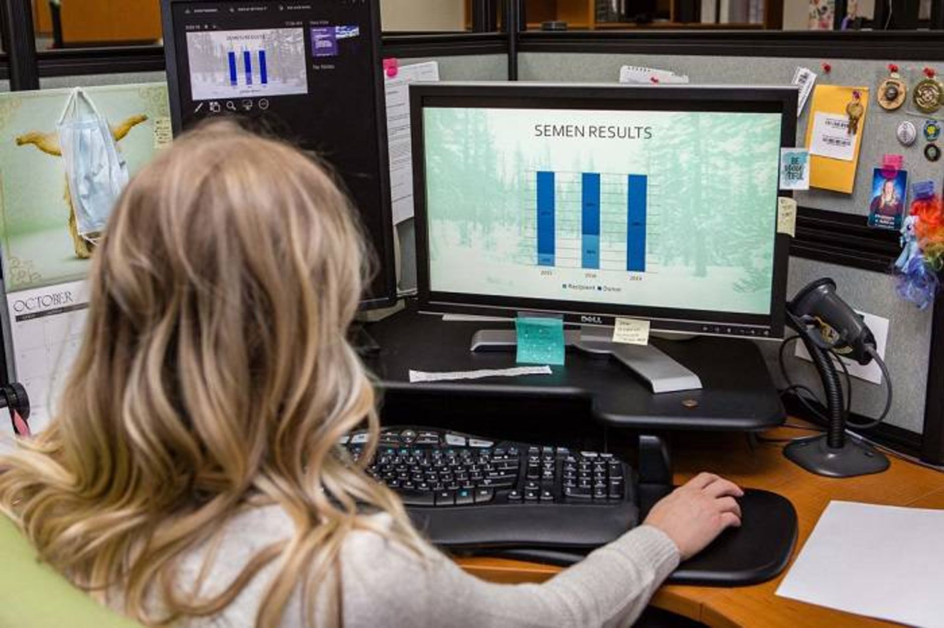 نتایج DNA مایع منی لانگ