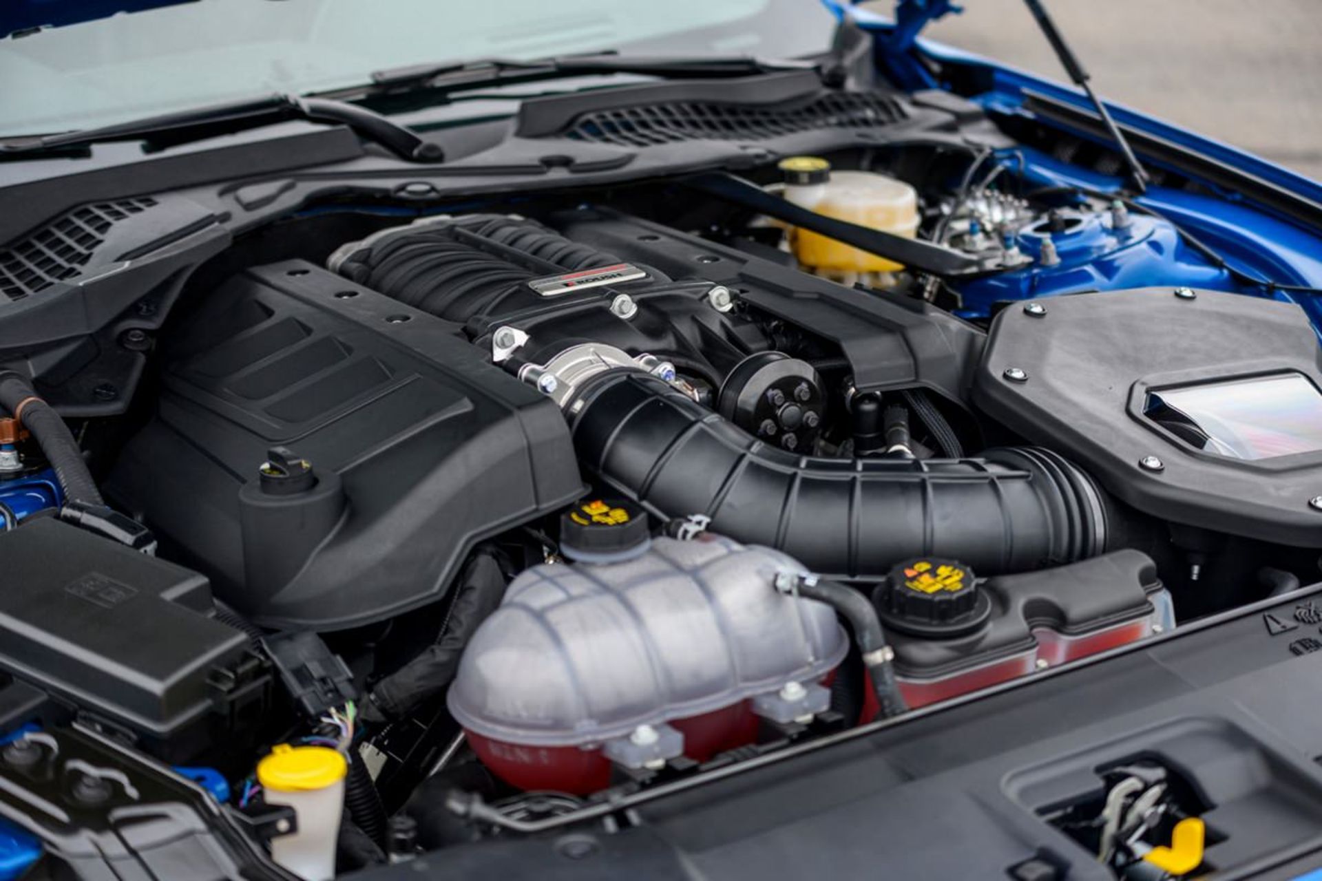 فورد موستانگ Rush