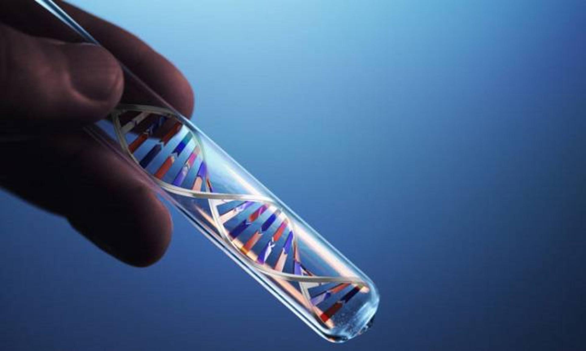 DNA