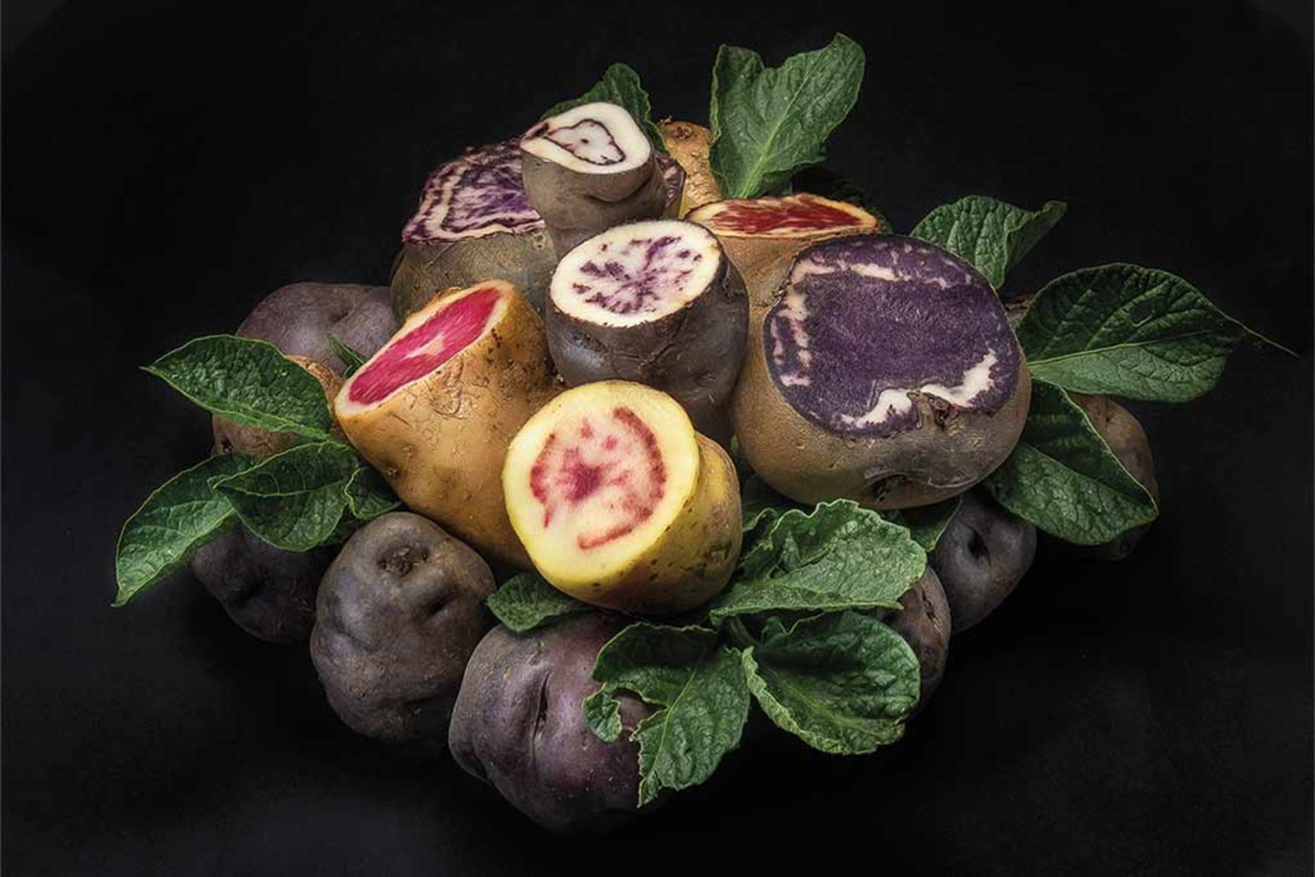 گوناگونی سیب‌زمینی‌