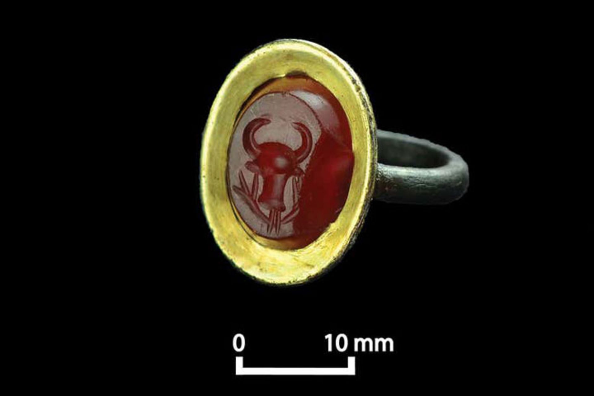 انگشتری ساخته شده از طلا و عقیق سرخ که در حفاری‌های اخیر در اتیوپی کشف شد