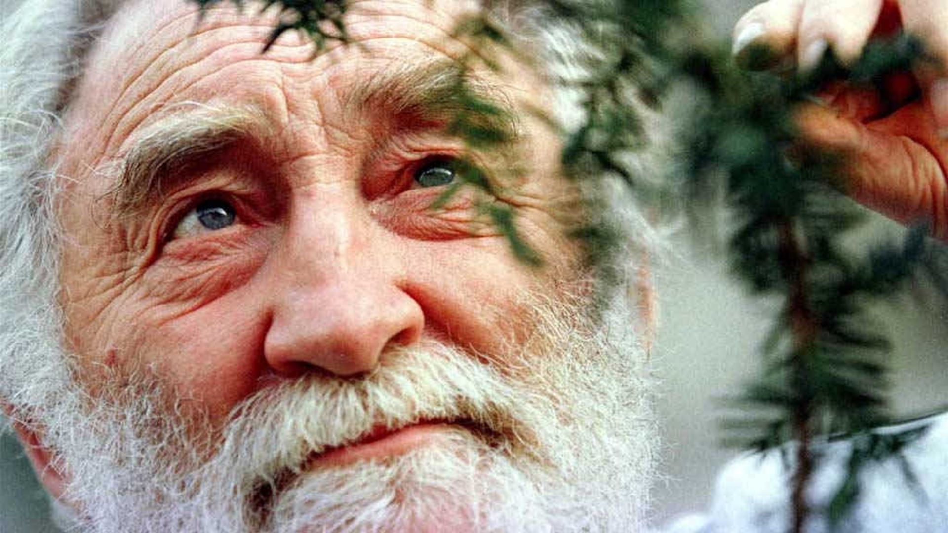 درگذشت دیوید بلامی، گیاه‌شناس، مجری تلویزیون و مدافع محیط‌زیست