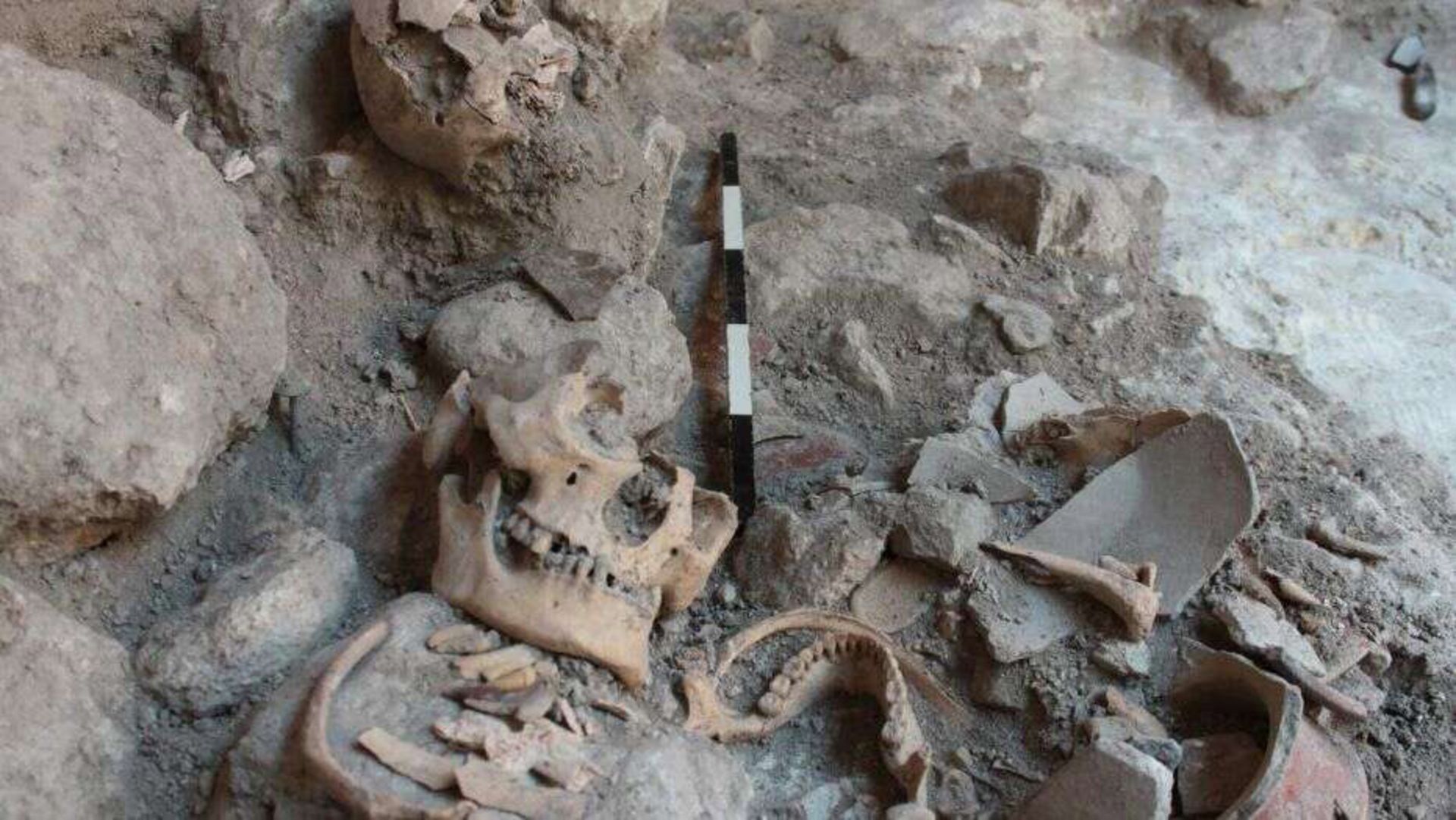 استخوان‌هایی که گواهی بر تاریخچه‌ی خشونت‌بارشان هستند