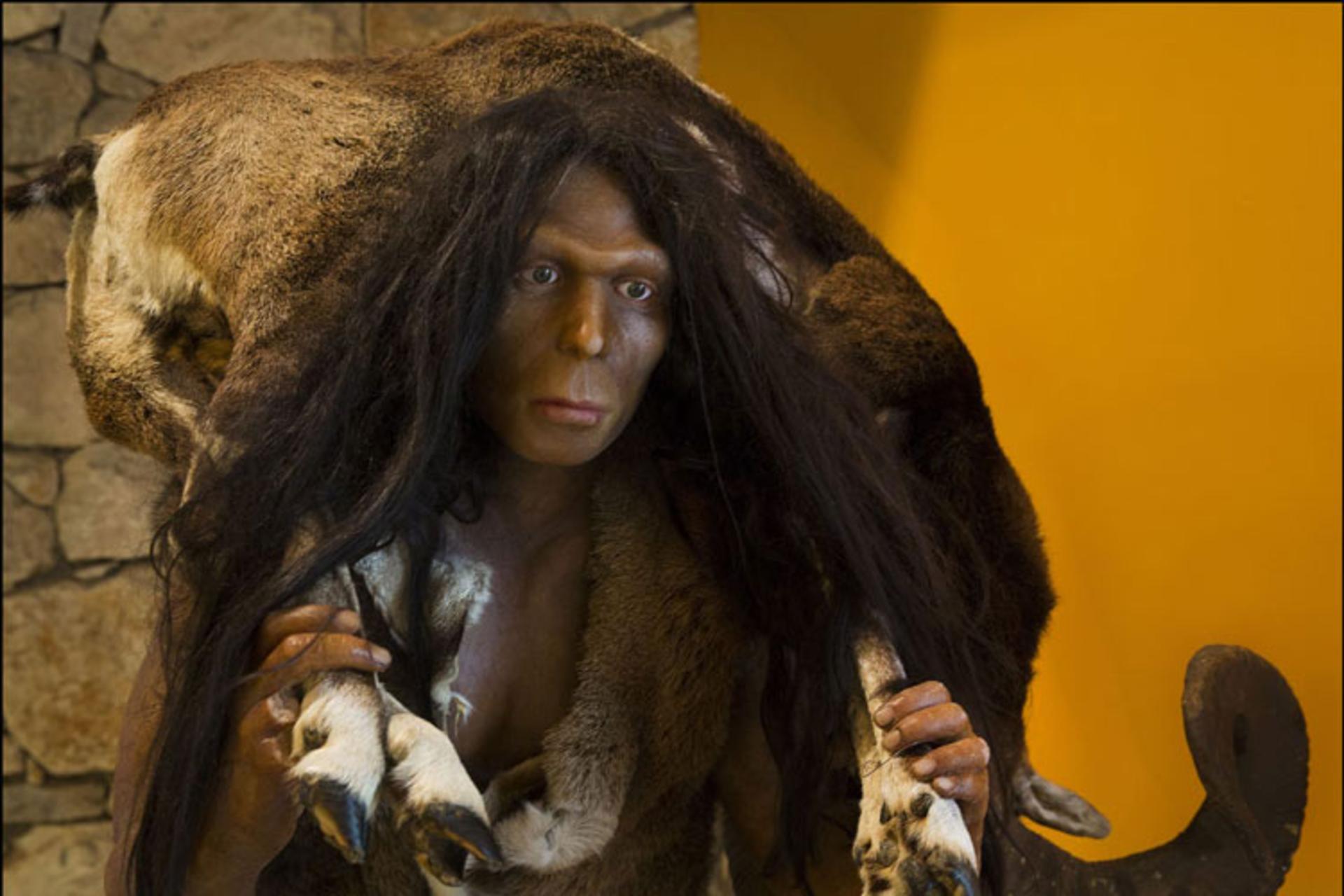 کشف آخرین آثار هومو ارکتوس در جزیره جاوه اندونزی