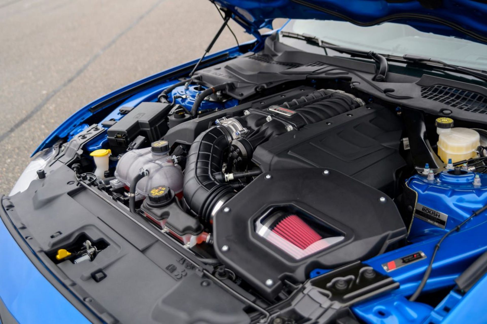 فورد موستانگ Rush